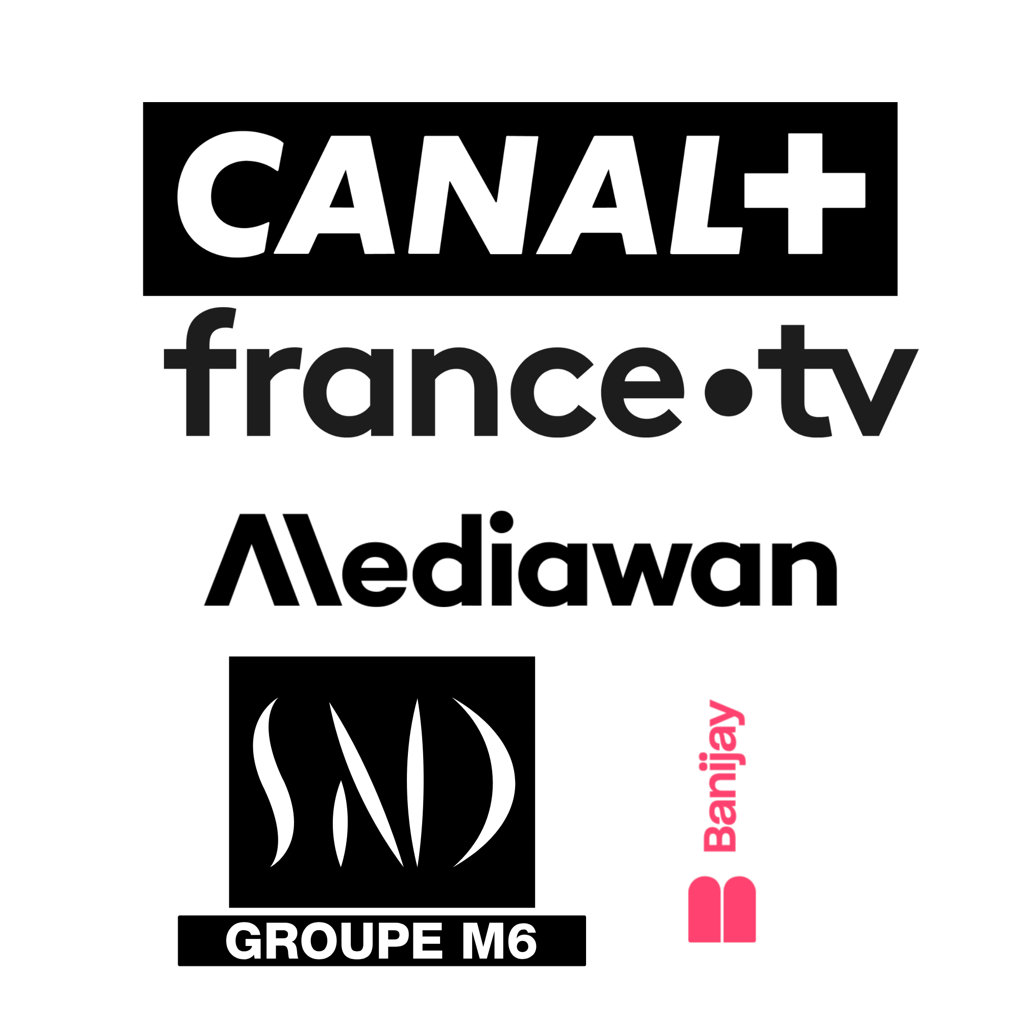 Direction éditoriale TV — France 2, TF1, M6, Canal+, Mediawan