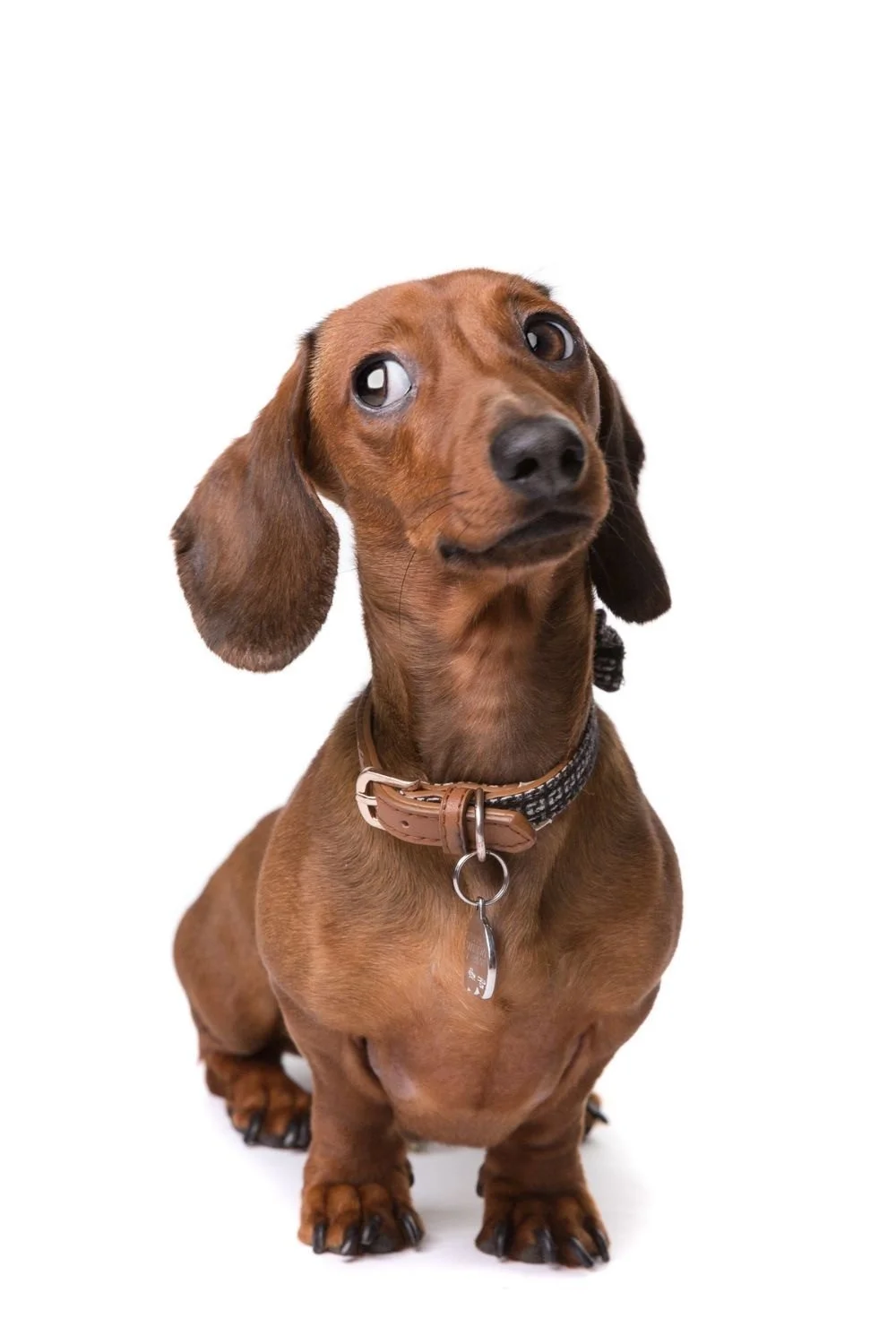 April - The Long Take Film Club