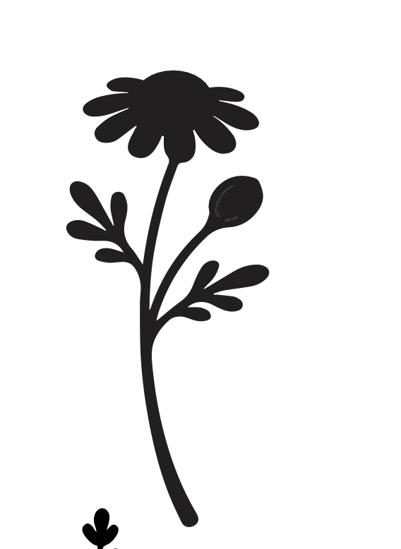 Skjermbilde 2026-05-02 kl. 16.58.49.png