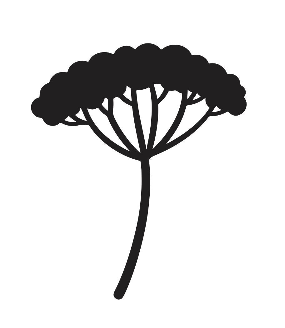Skjermbilde 2026-05-02 kl. 16.58.32.png