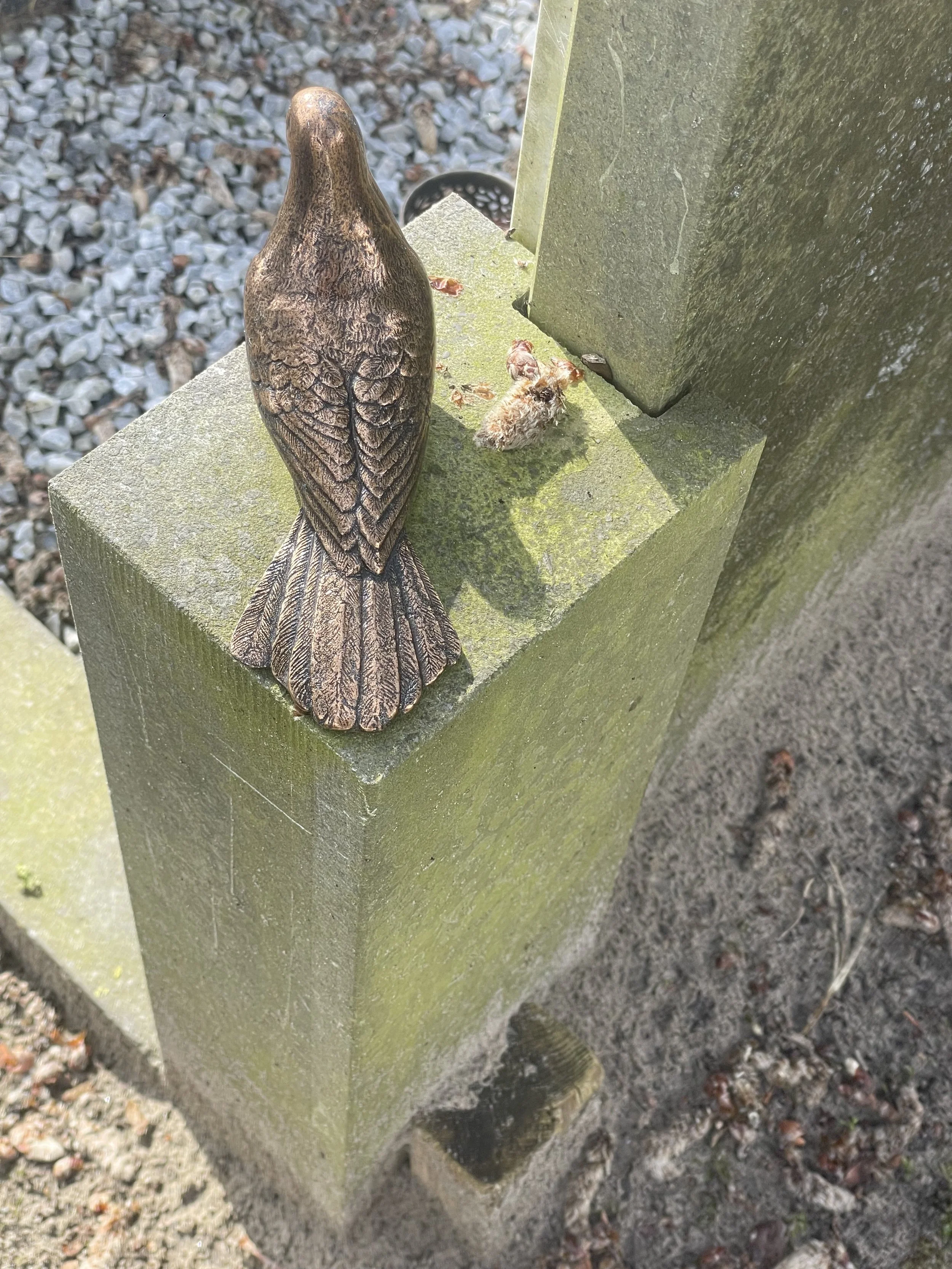 Een vogelbeeld op een groene betonnen paal met een klein vogeltje dat lijkt te zijn gevallen of dood is, en een lange schaduw van de vogel op de paal.