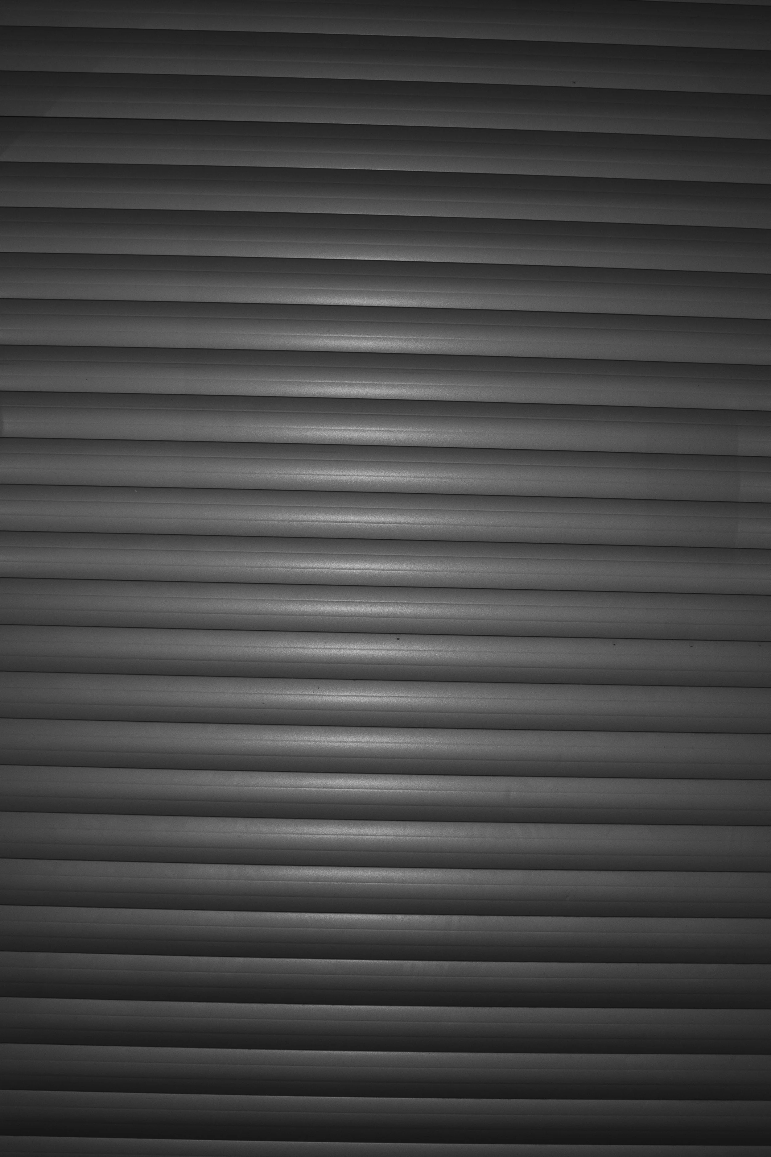 _MG_5346.jpg