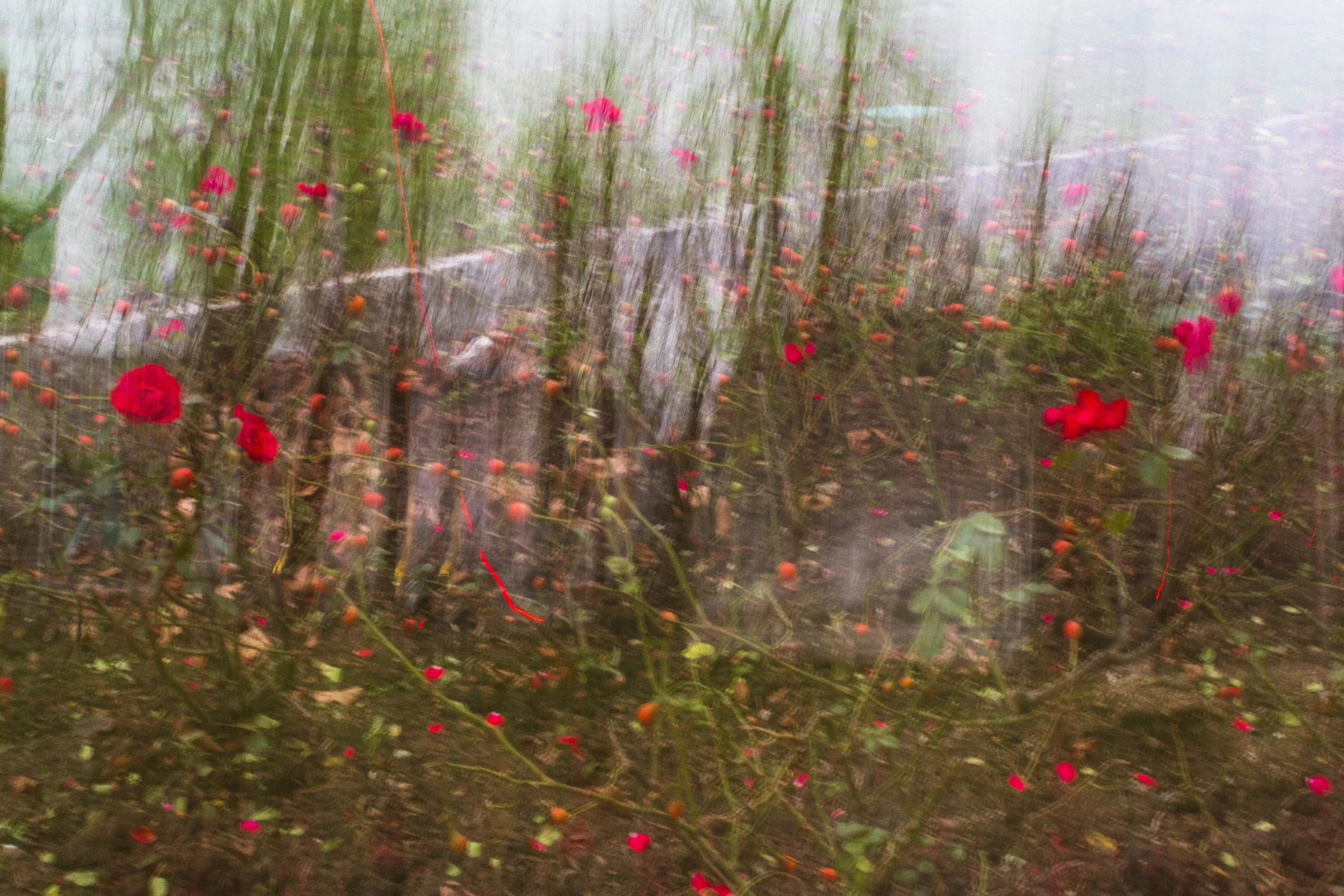 FRÜHLINGSWEIHE (BOOK)