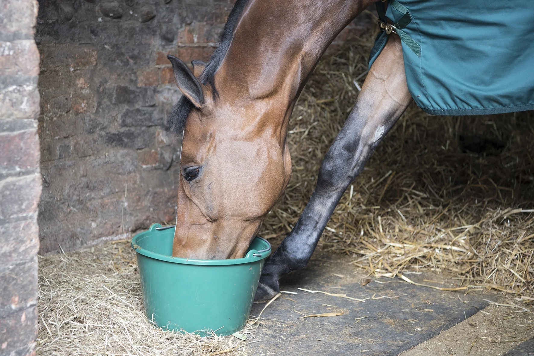 Feeding Fibre-Beet as a Pre-Exercise Meal