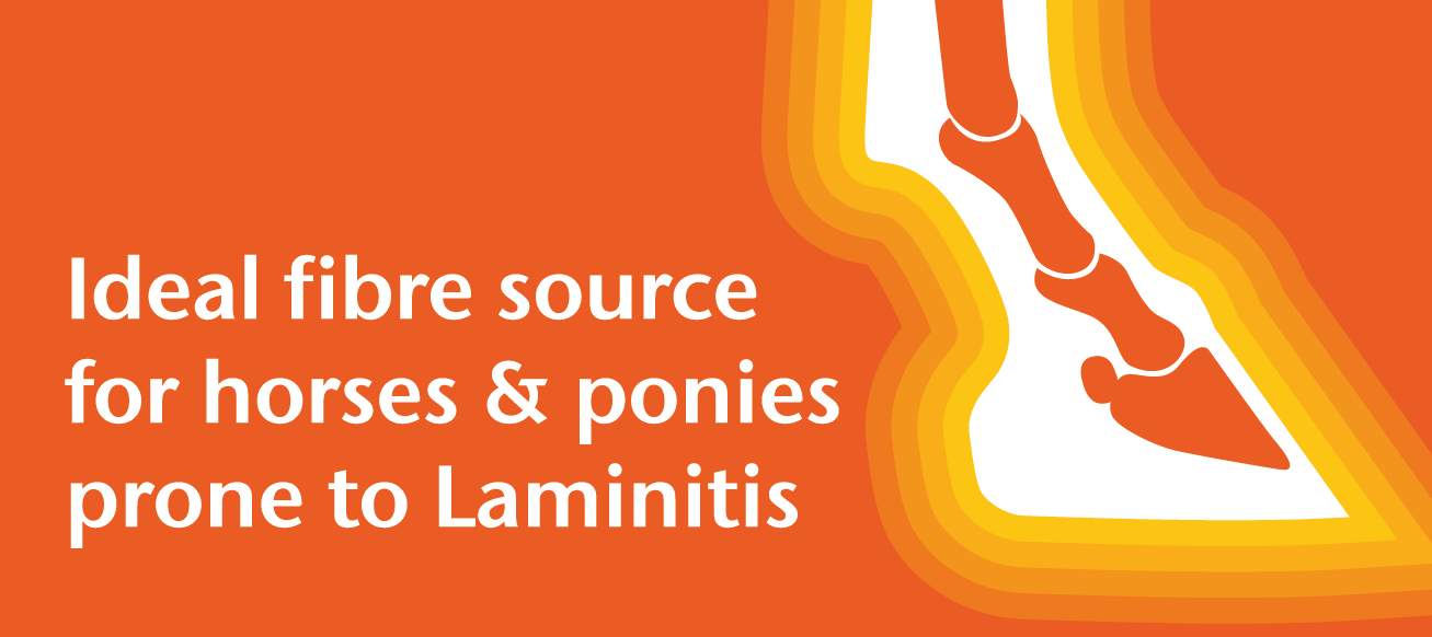 Feeding for Laminitis