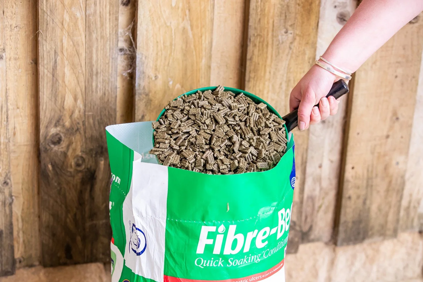 Feeding the Ex-Racehorse: Winter Management and Digestive Recovery