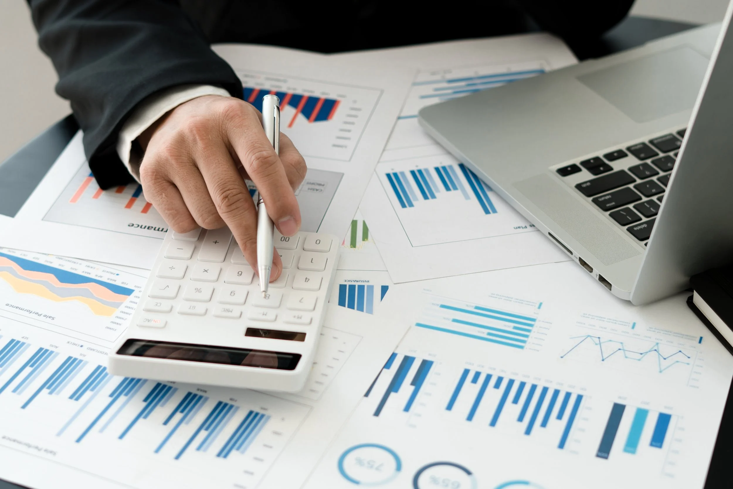 Snow-capped mountains with rugged terrain and a grassy foreground under a cloudy sky.