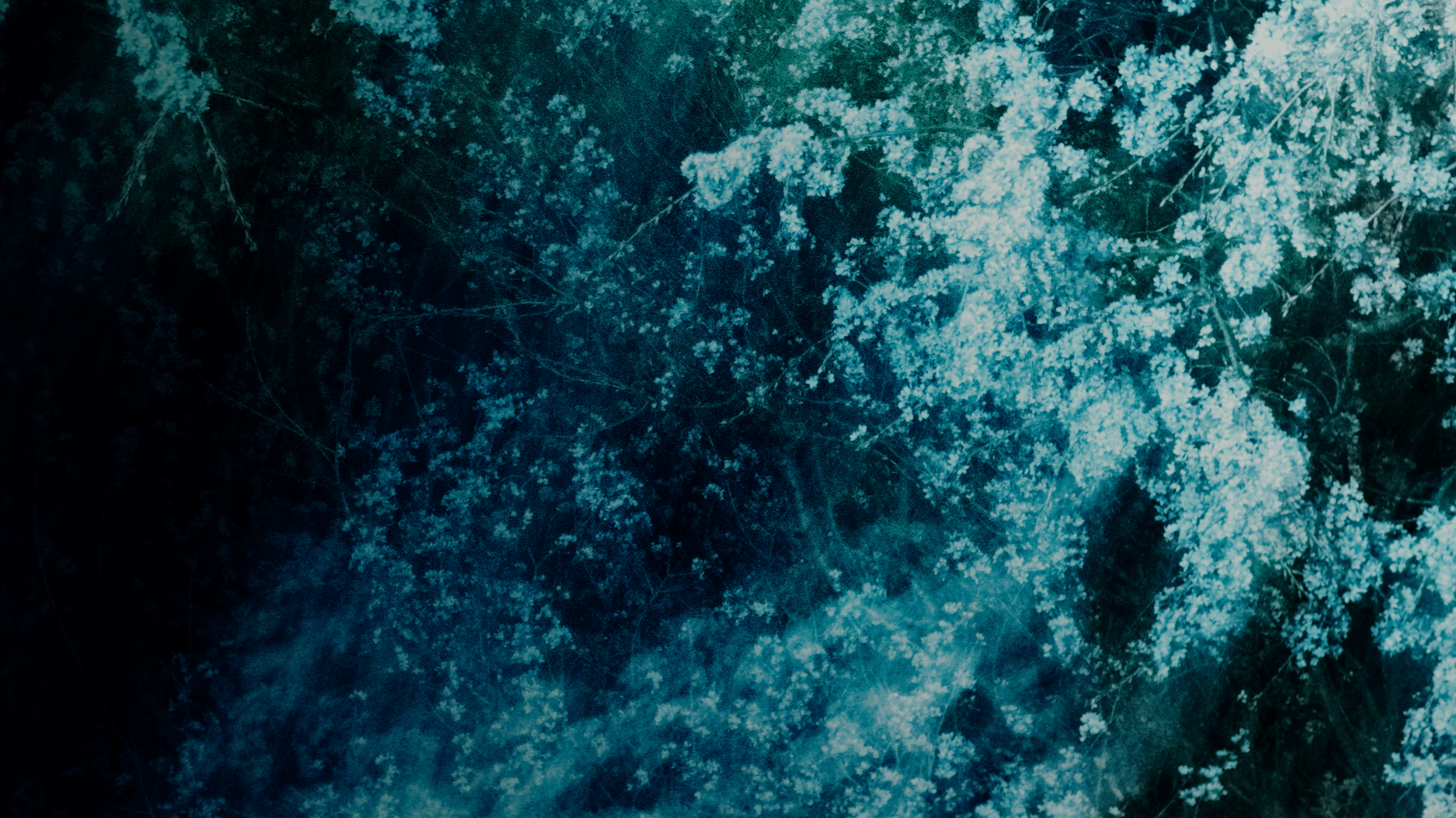 Kyotographie00002.png