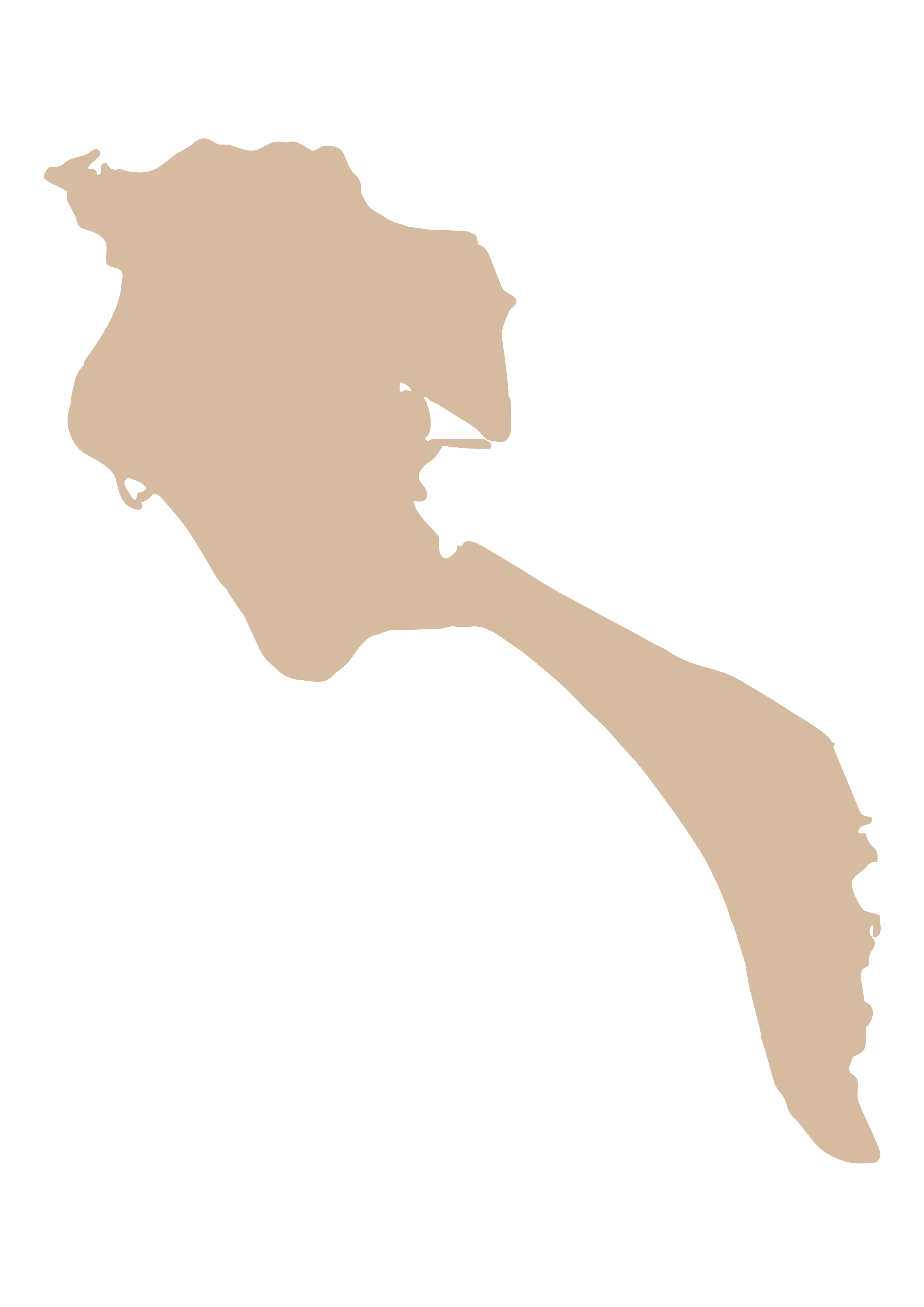 carte de l'île de Noirmoutier, presqu'île française du golfe de Gascogne située dans le département de la Vendée.