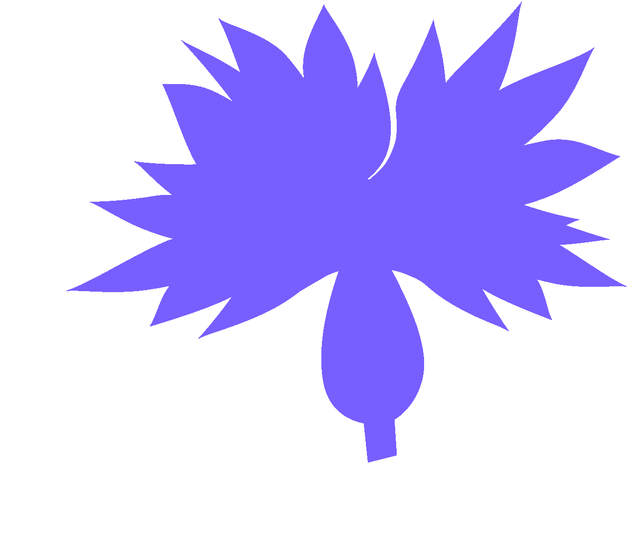 Maison Saison