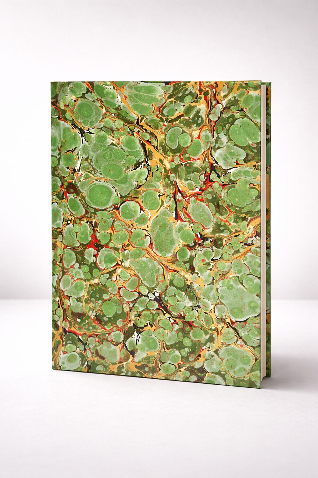 ChatGPT Image Apr 21, 2026, 11_21_43 AM.png