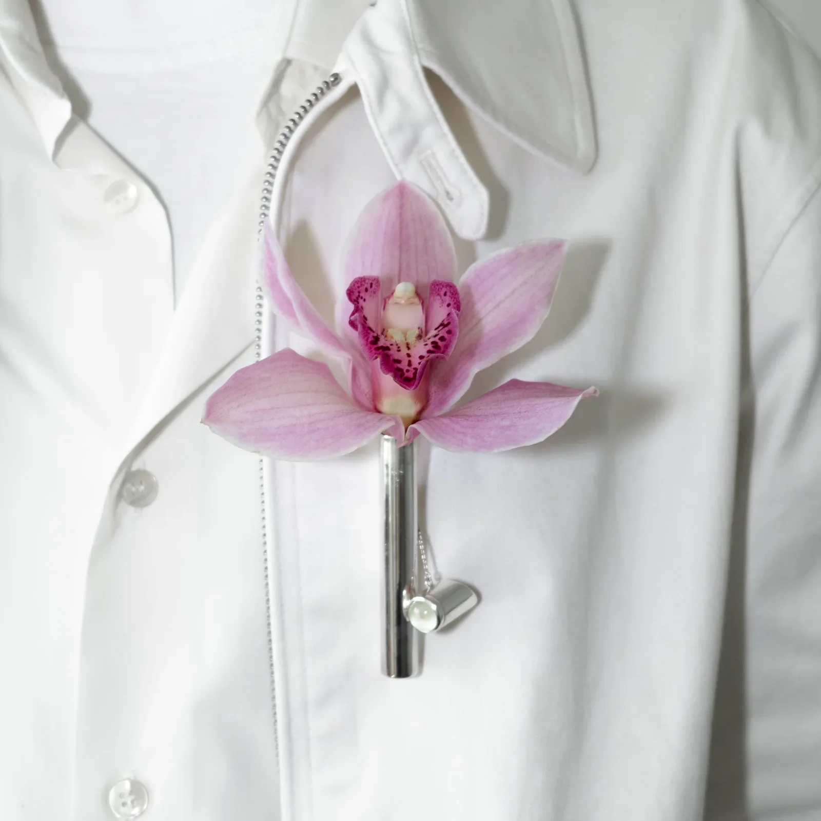 SUPERFICIAL OBJECTS | Join Now for Exclusive Access