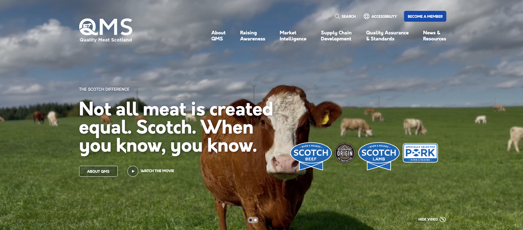 Screenshot 2026-03-05 at 15.24.16.png