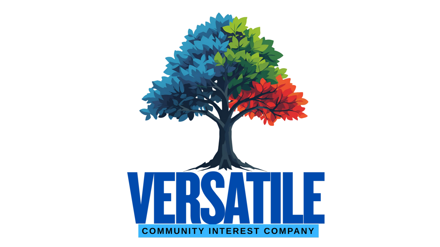 Versatile Community Social &amp; Wellbeing Services CIC