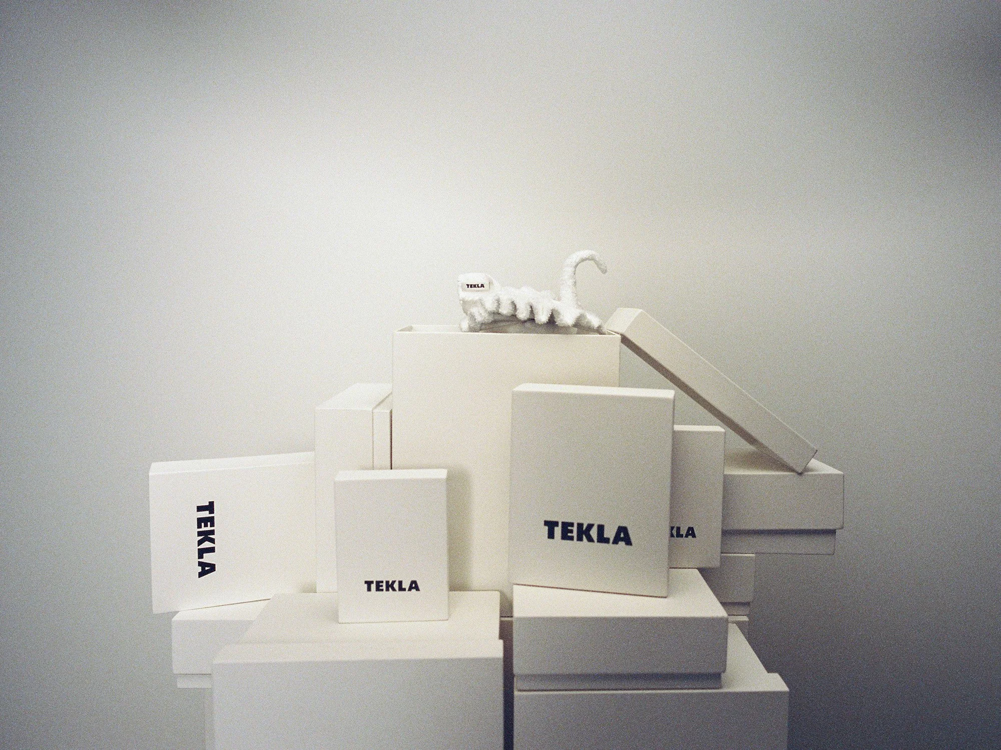 Lucia Garcia Rey _ TEKLA _042.jpg