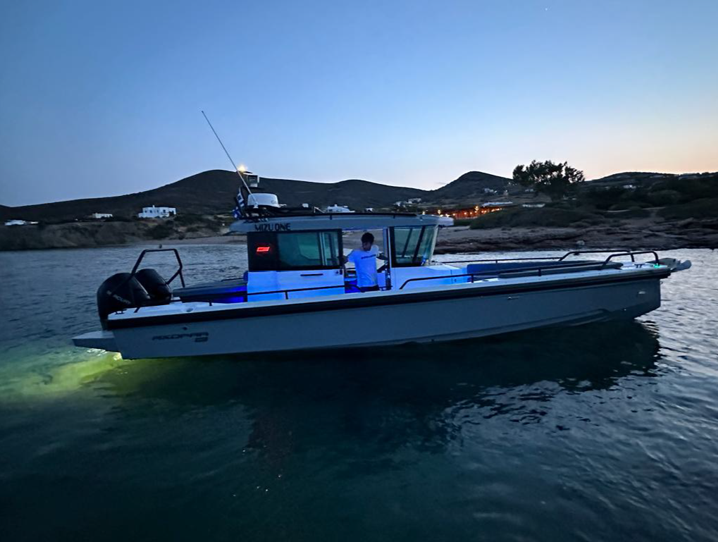 A boat on calm waters during dusk or early evening with hills and houses in the background, and a person standing inside the boat.