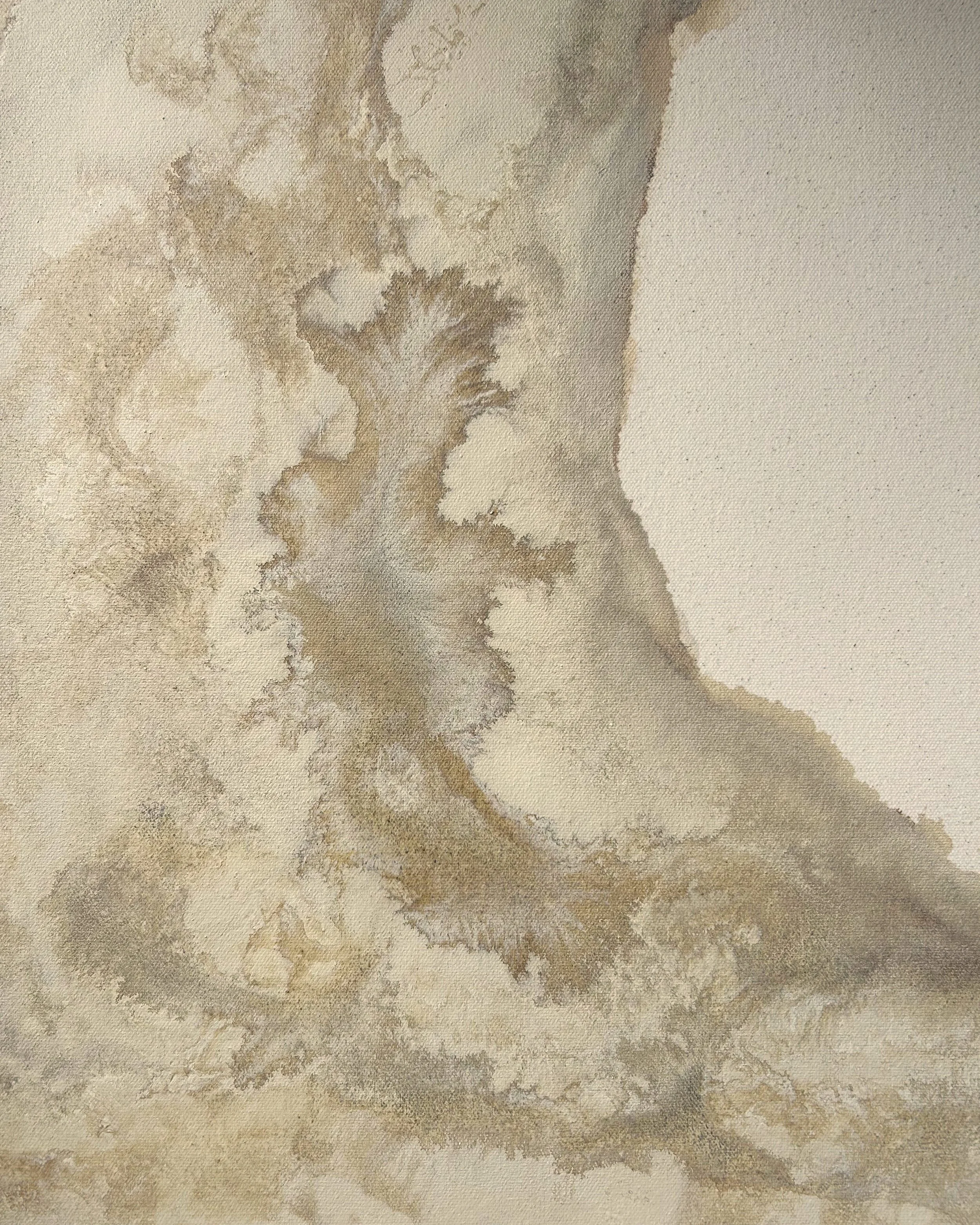 Into the cave D2.jpg