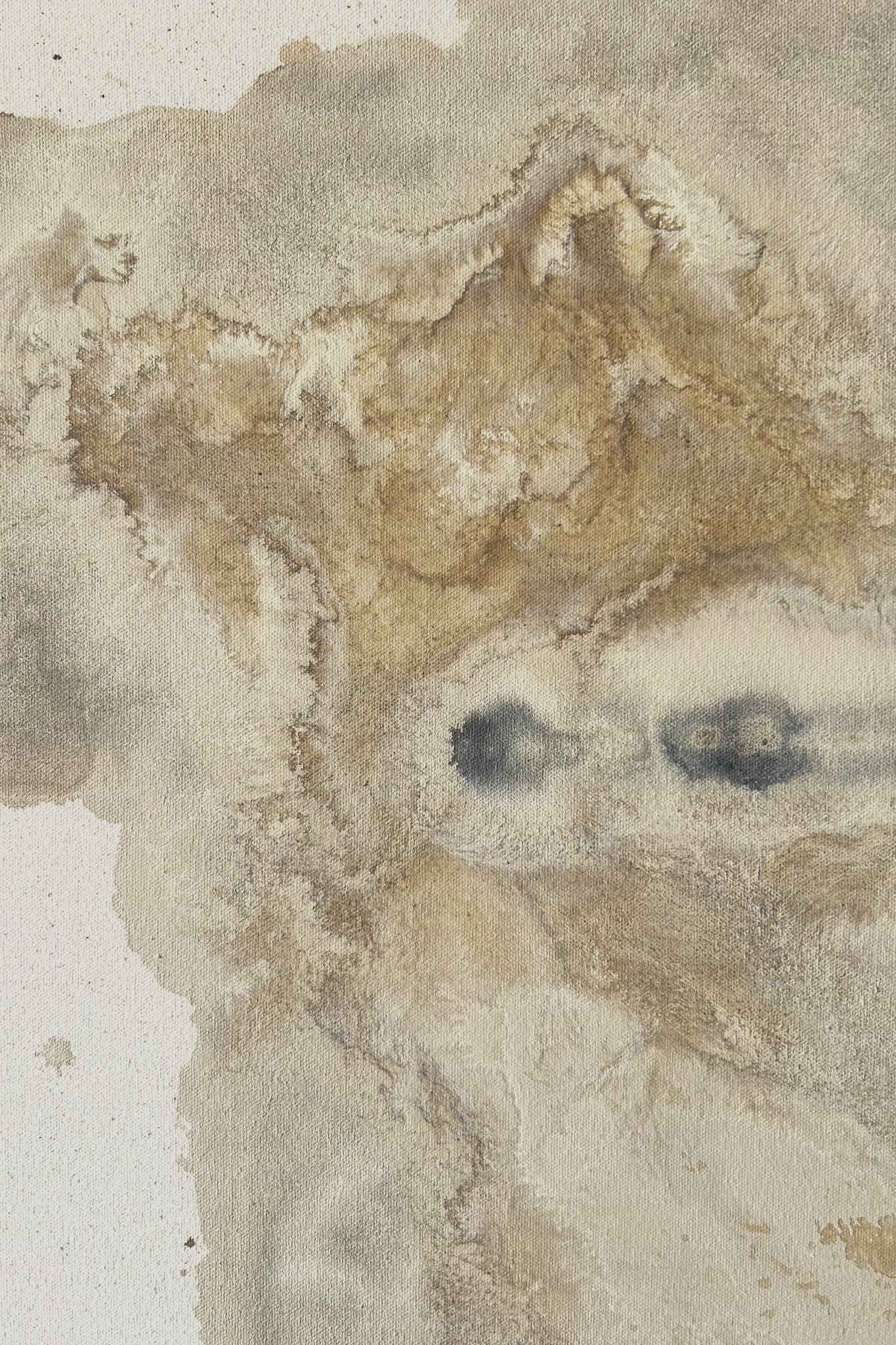 Form within rockD1.jpg