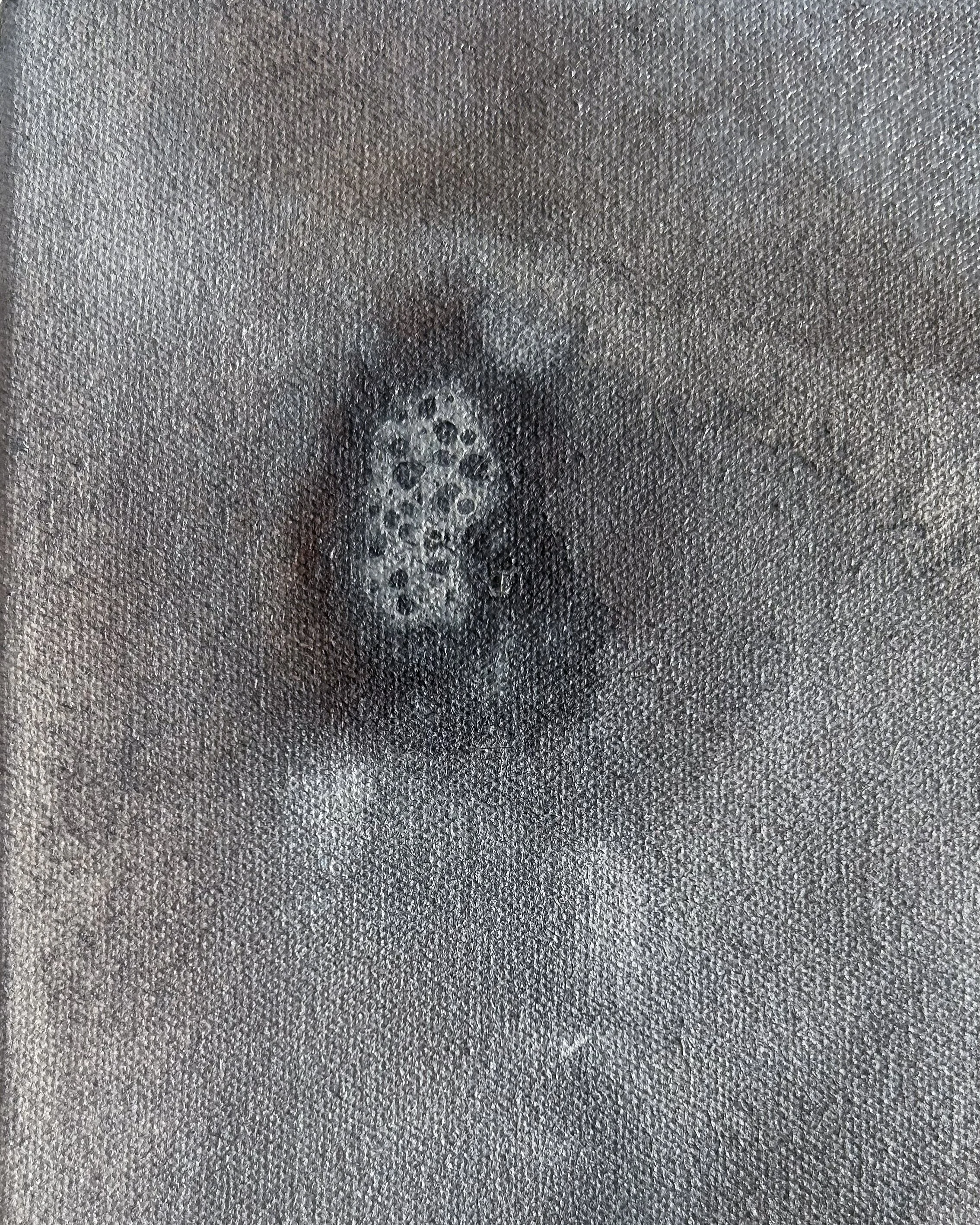 Between bloom and dust D2.jpg