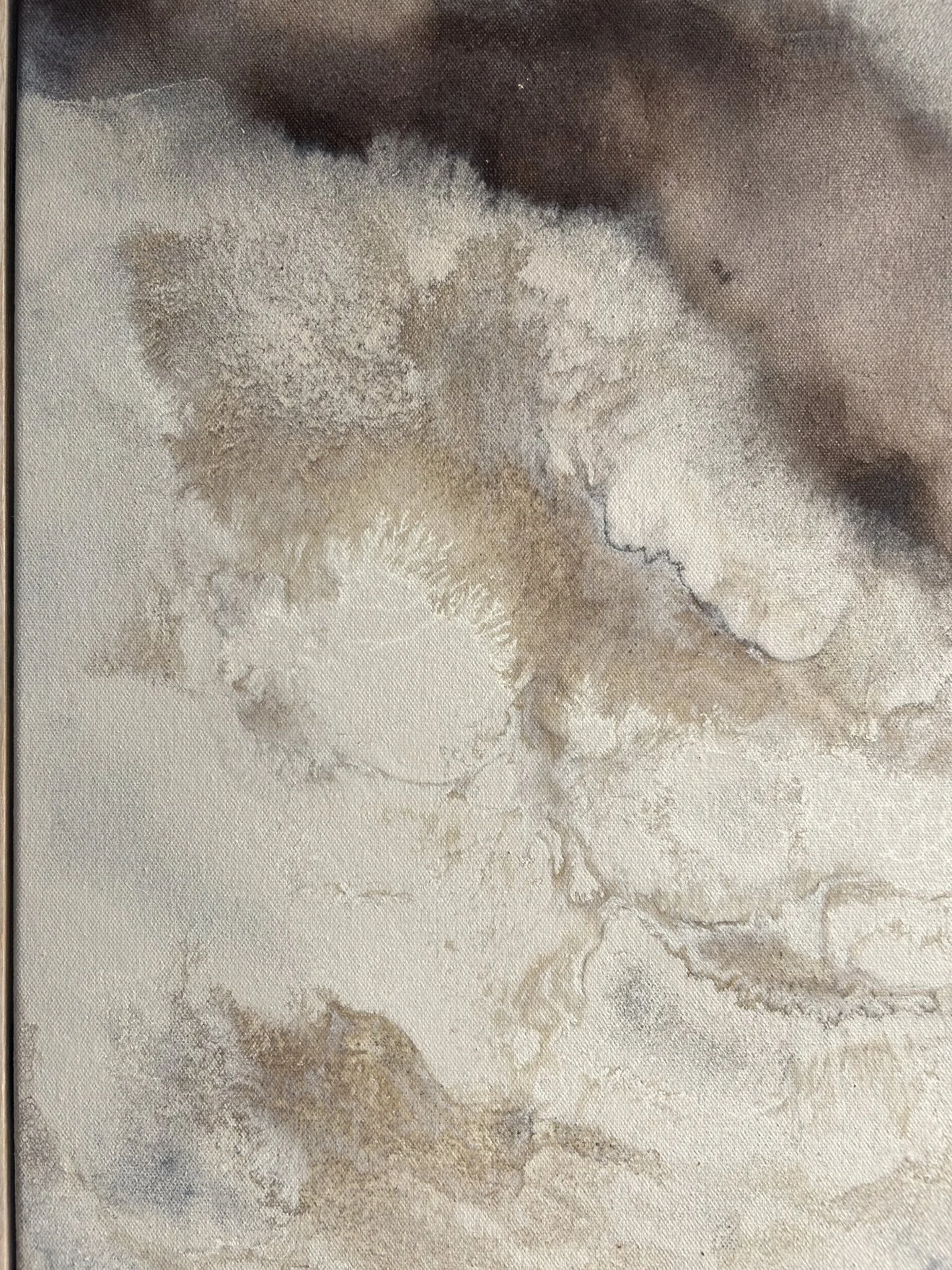 Study lost in thought D2.jpg