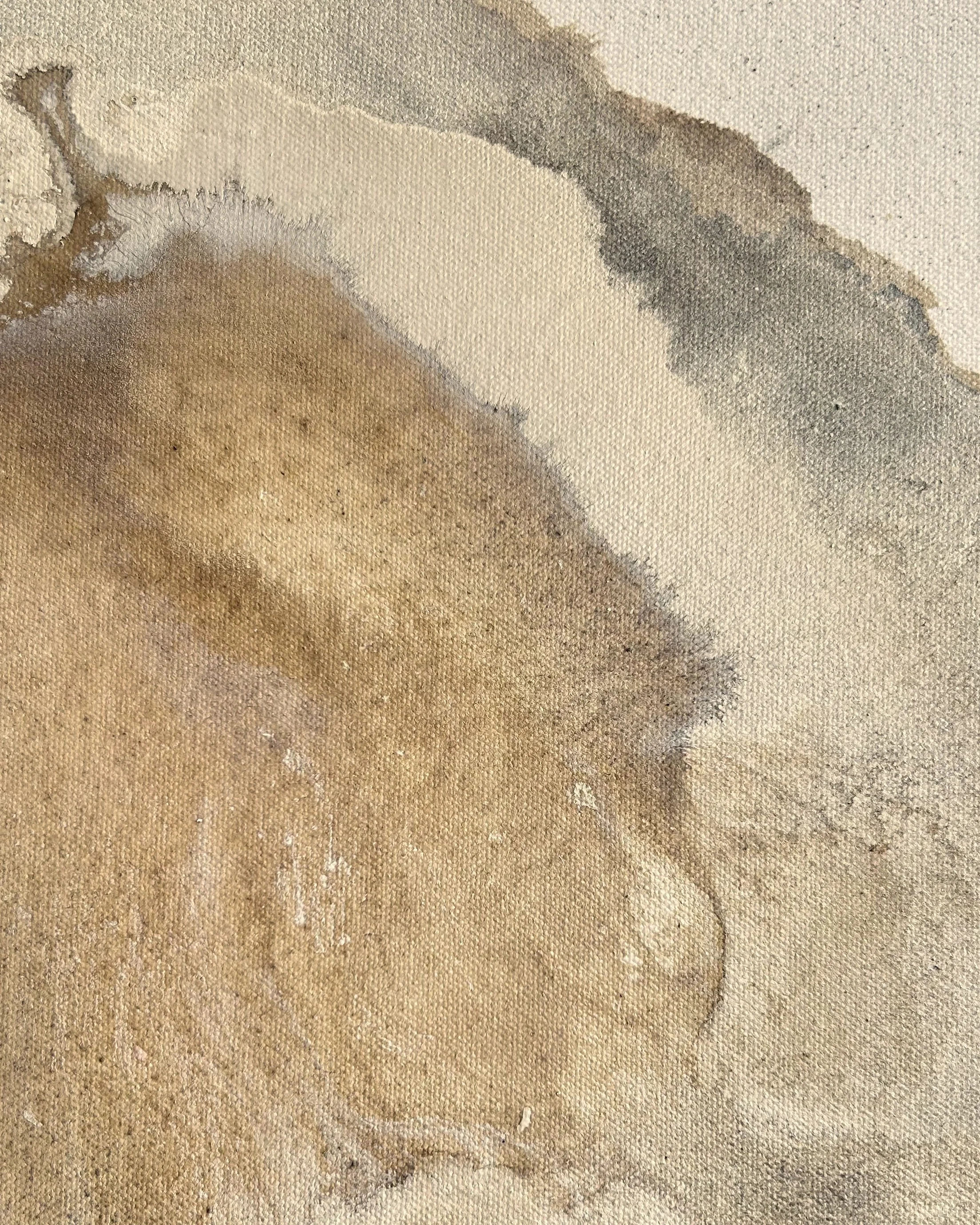 Form within rock no.3 D1 45.jpg