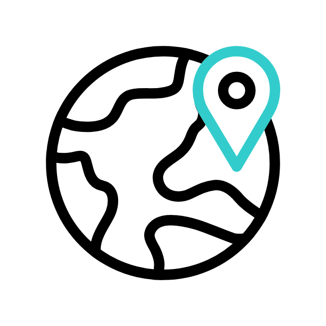 Icon of a globe with a location pin on it