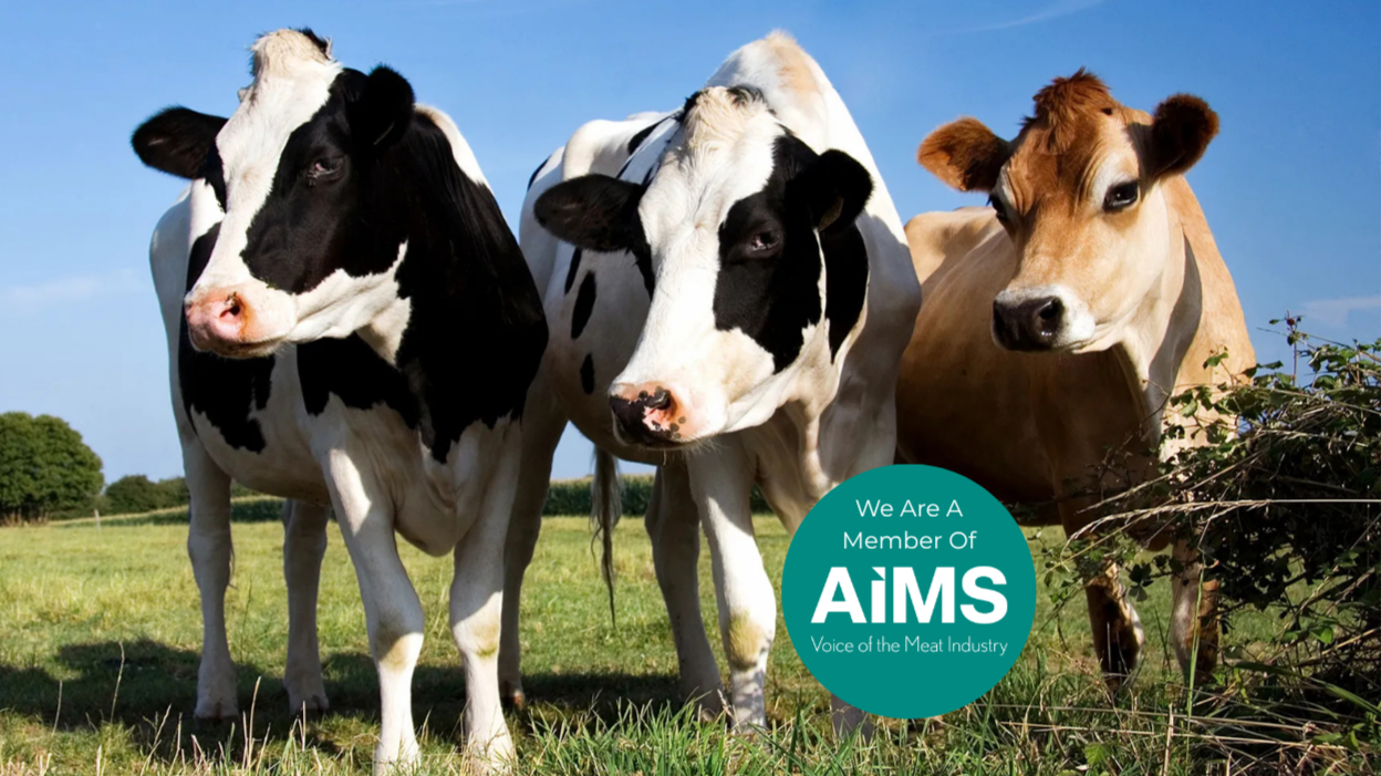 Three cows standing on a grassy field with a blue sky background, two black and white and one brown, with a teal circular badge that reads 'We Are A Member Of AIMS Voice of the Meat Industry.'