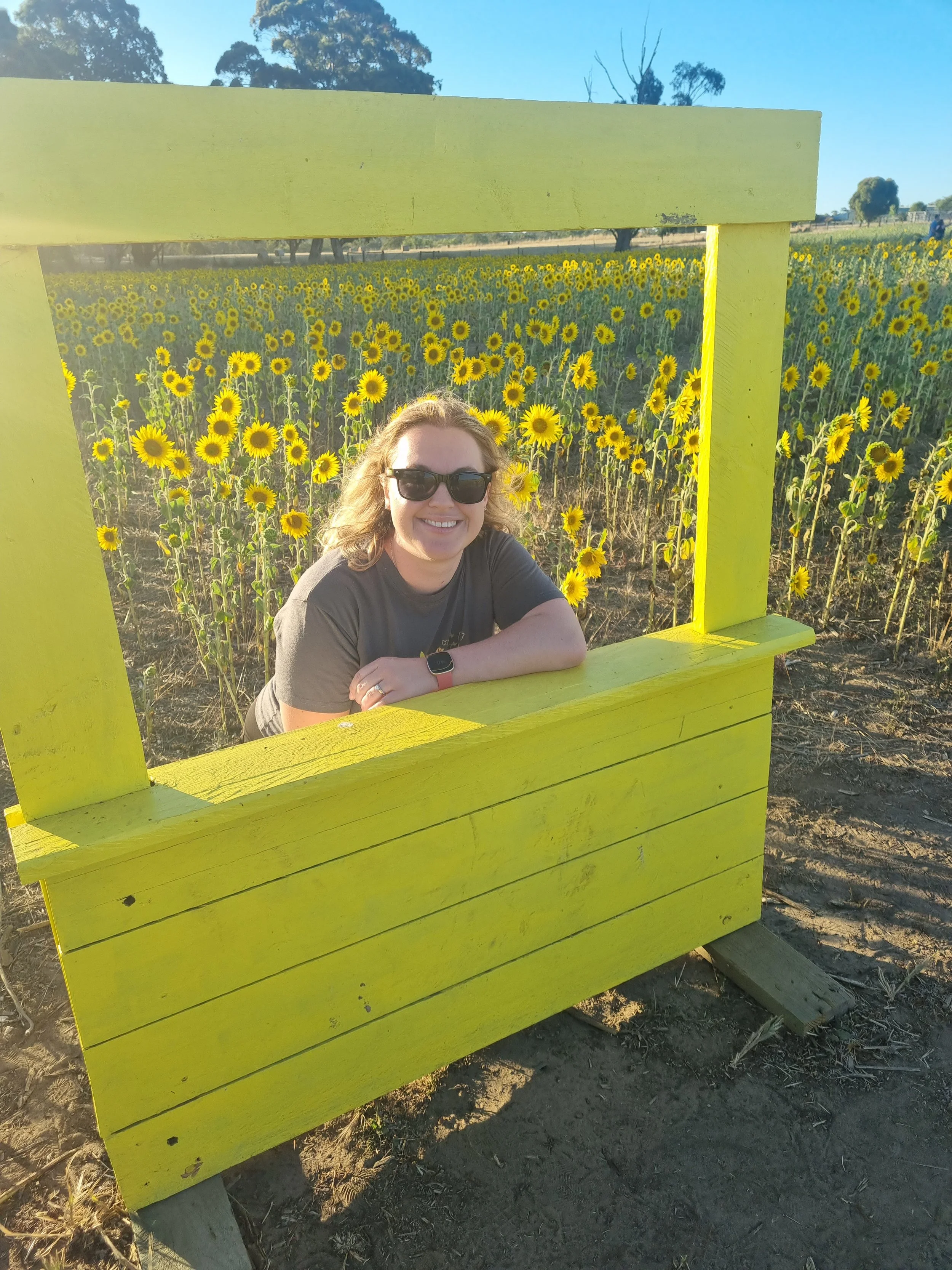 Person smiling and wearing sunglasses, leaning on a bright yellow wooden frame, standing in a field of yellow sunflowers.