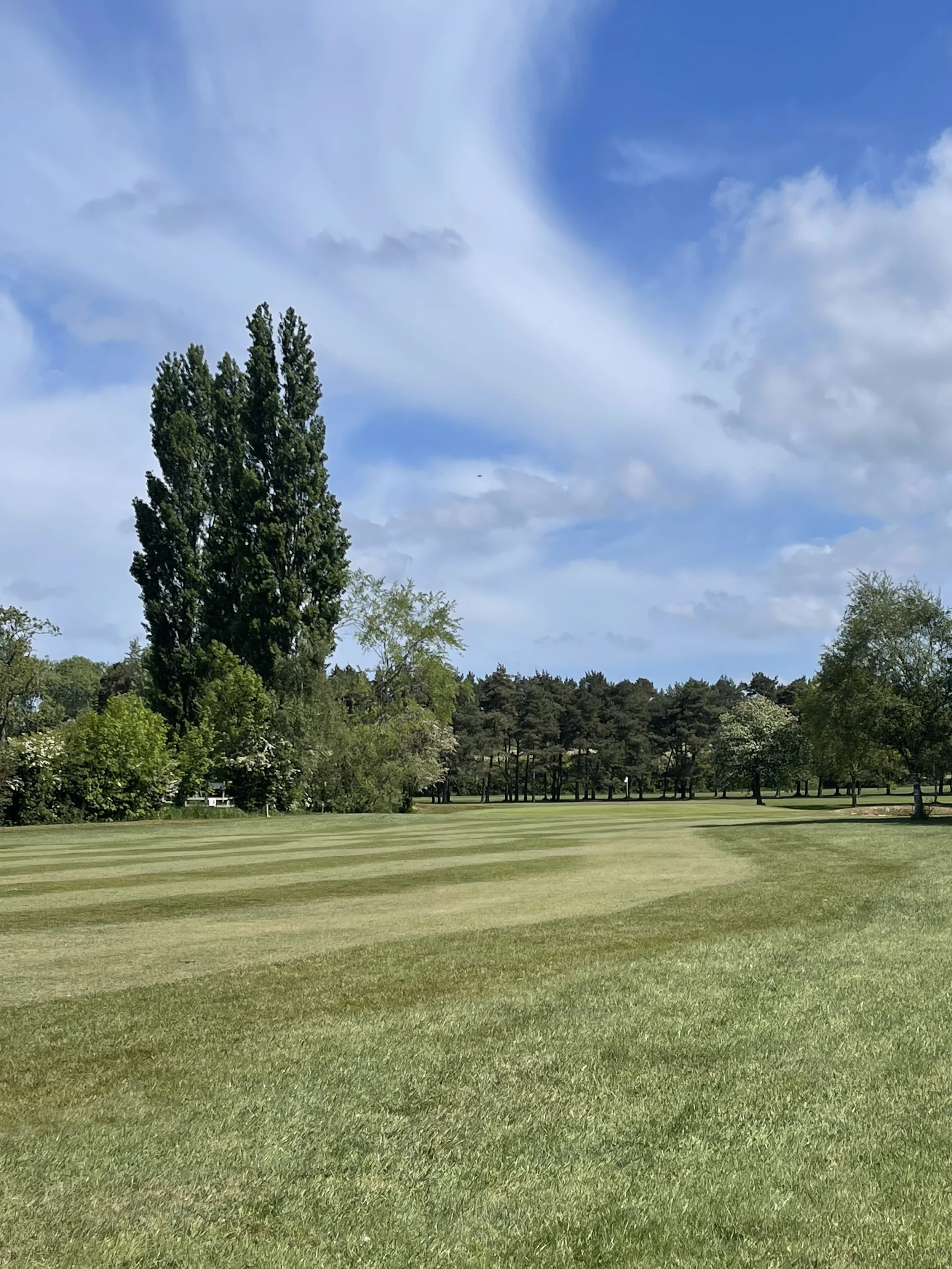 A golf course with green grass, trees, and a partly cloudy blue sky.