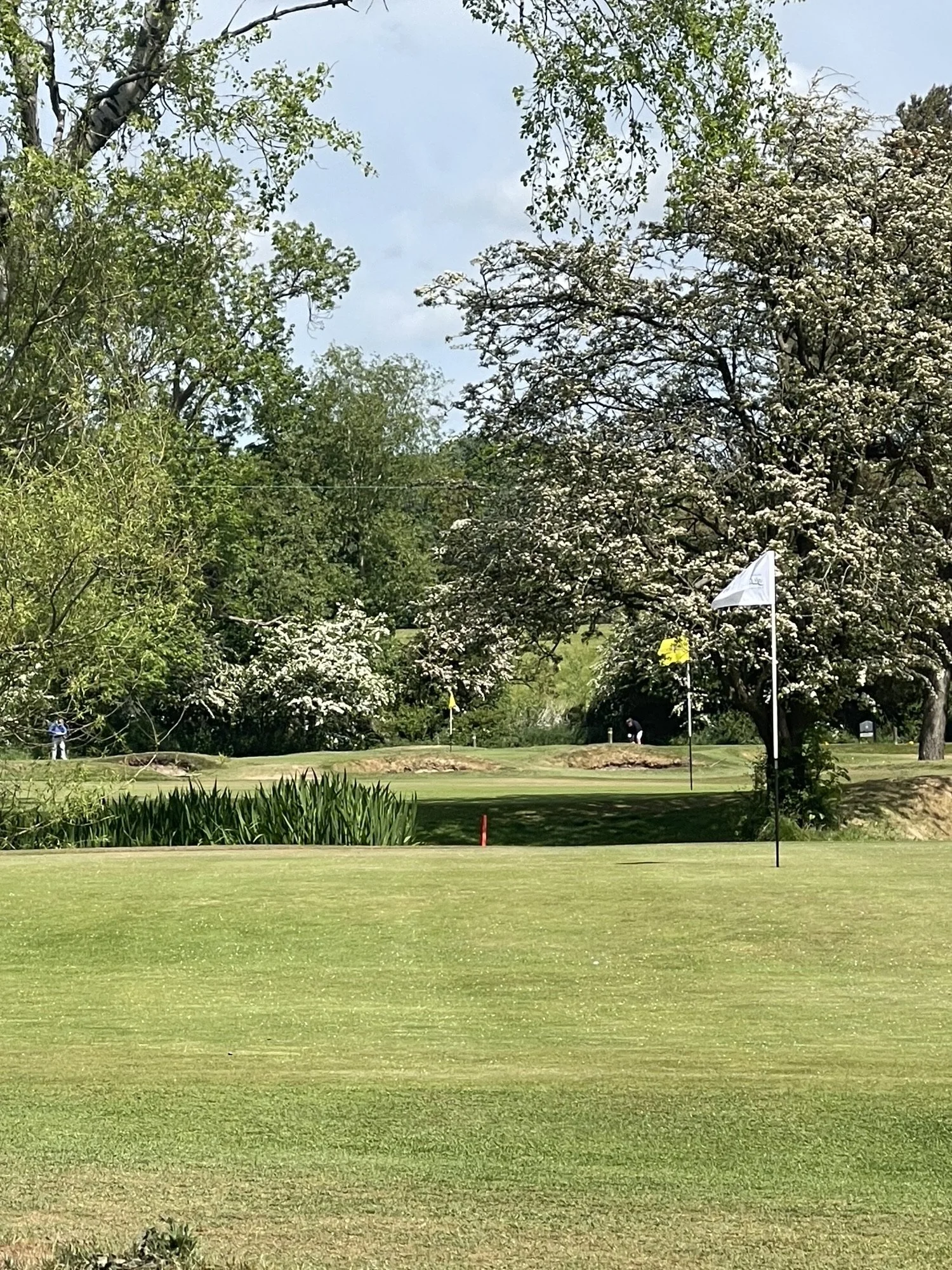 A golf course with a putting green in the foreground, a flag on the green, trees with white blossoms, and a cloudy sky in the background.