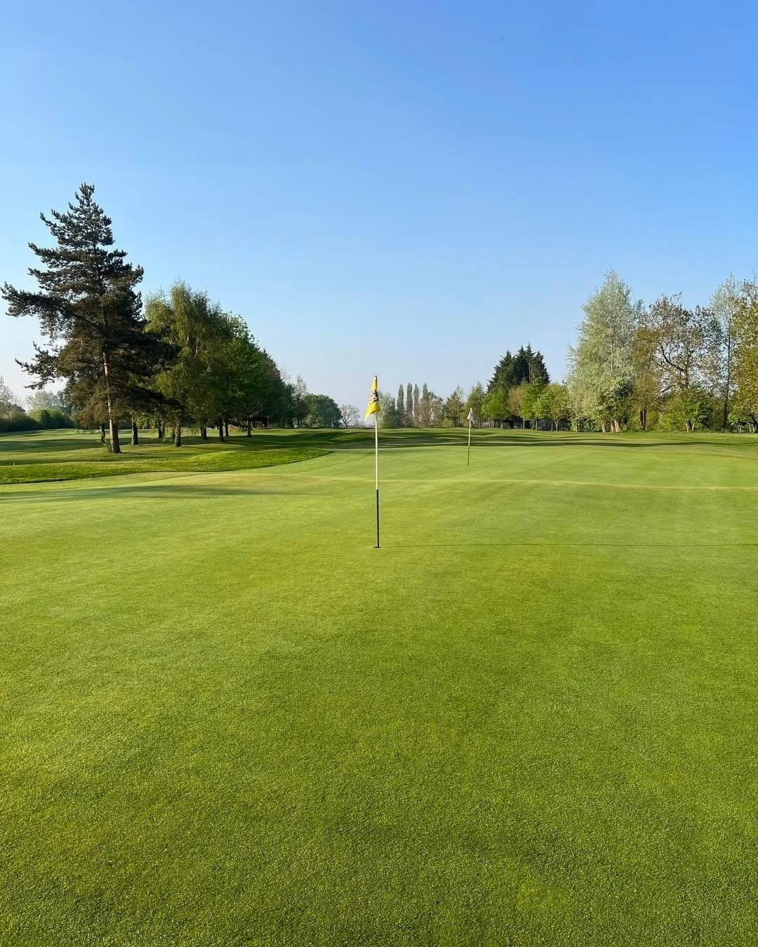 A golf course with a putting green, several trees in the background, and a clear blue sky.