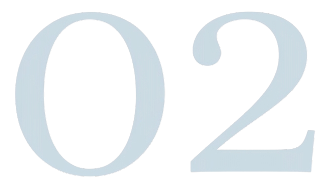 Number 02 in light blue on a black background.