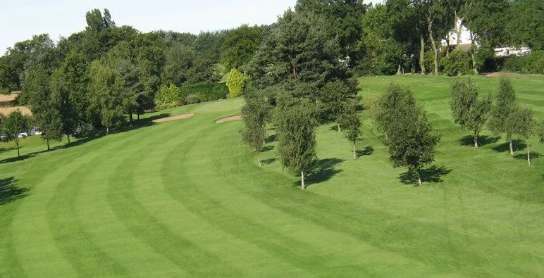 A golf course with neatly mowed grass, trees lining the fairway, and a clear sky.