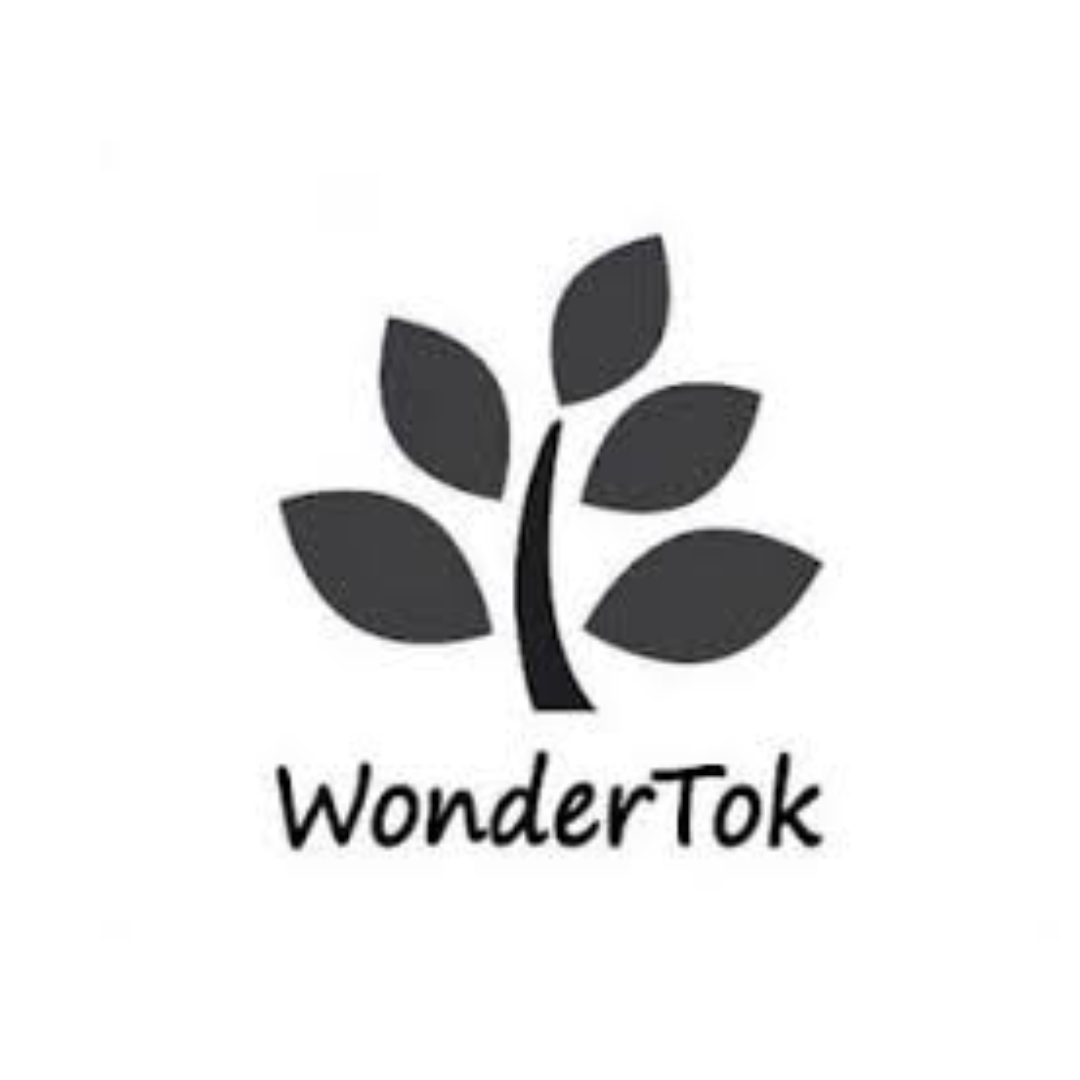 Wondertok Logo.png