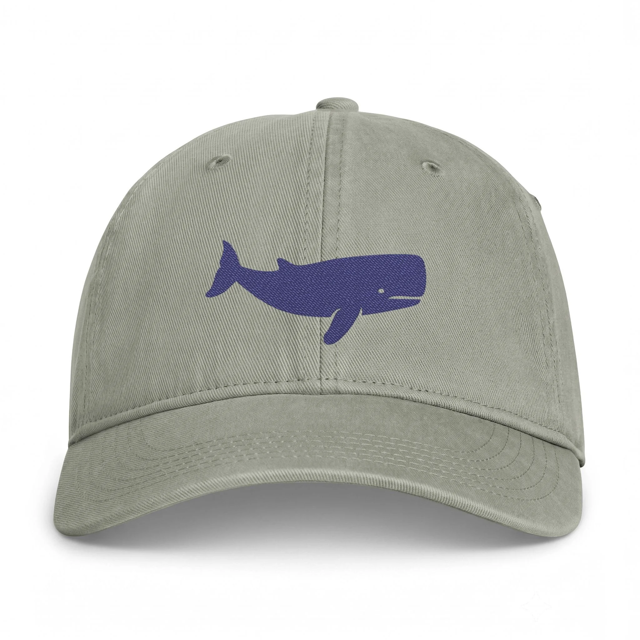 Blue Whale Coastal Washed Cap