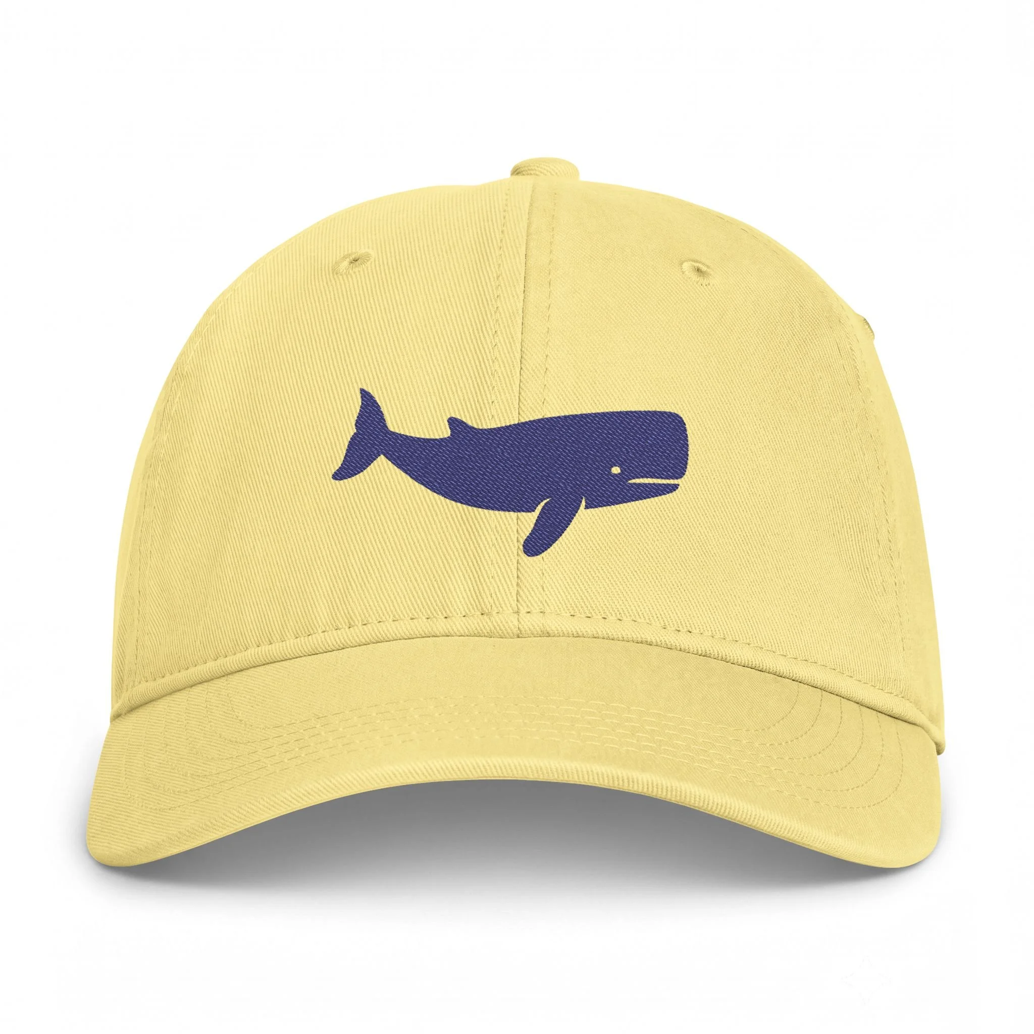Blue Whale Coastal Washed Cap