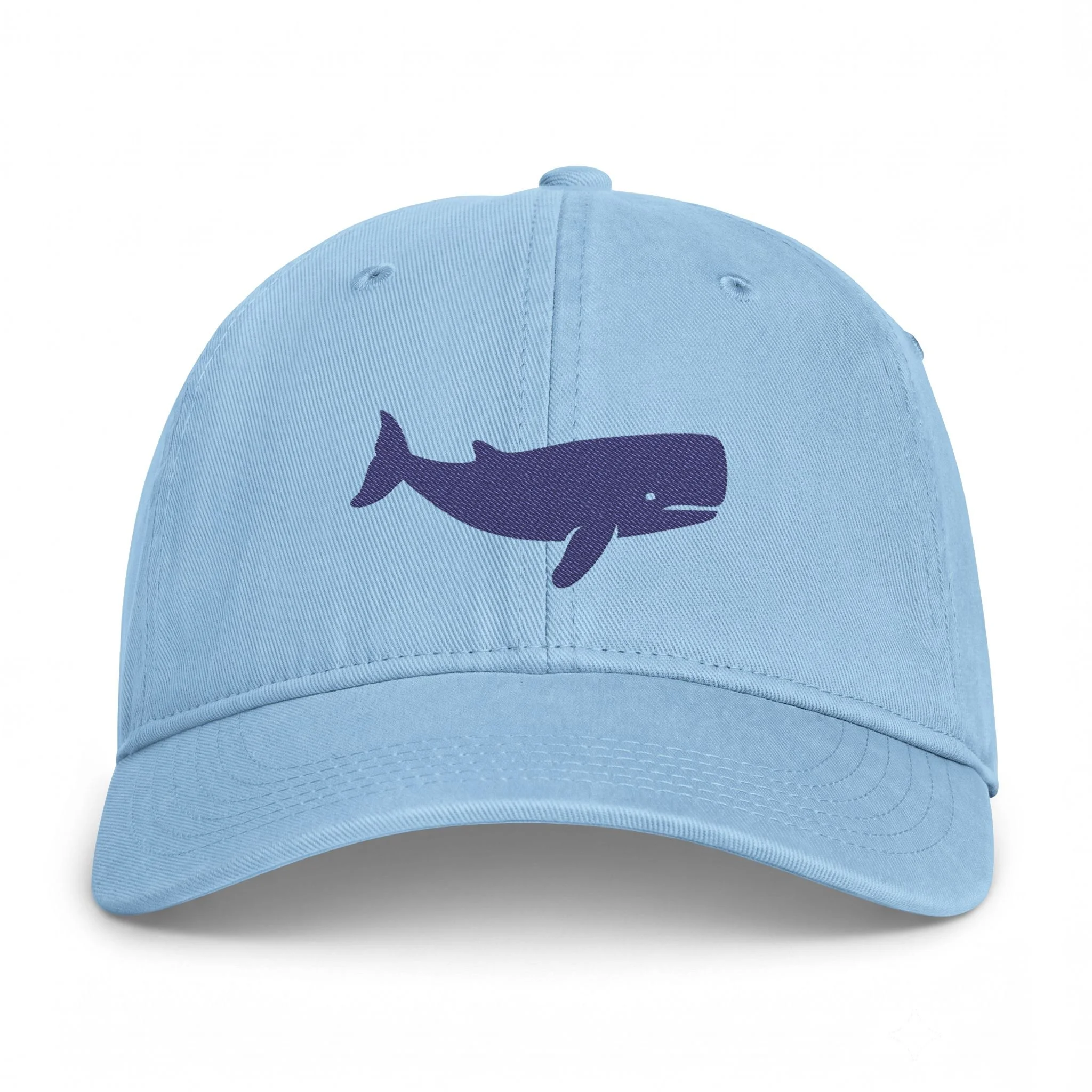 Blue Whale Coastal Washed Cap