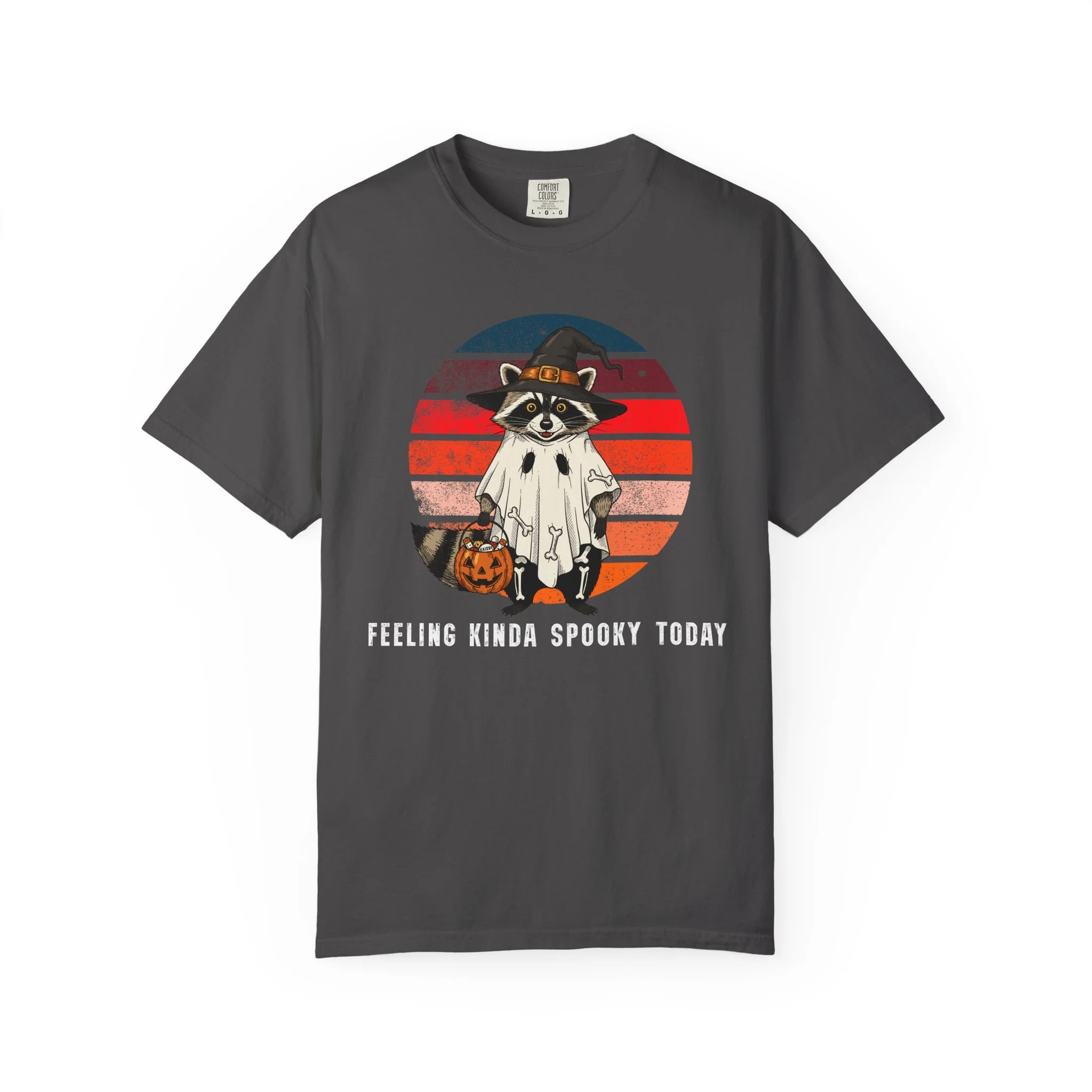 Raccoon Feeling Kinda Spooky Today Comfort Colors T-Shirt