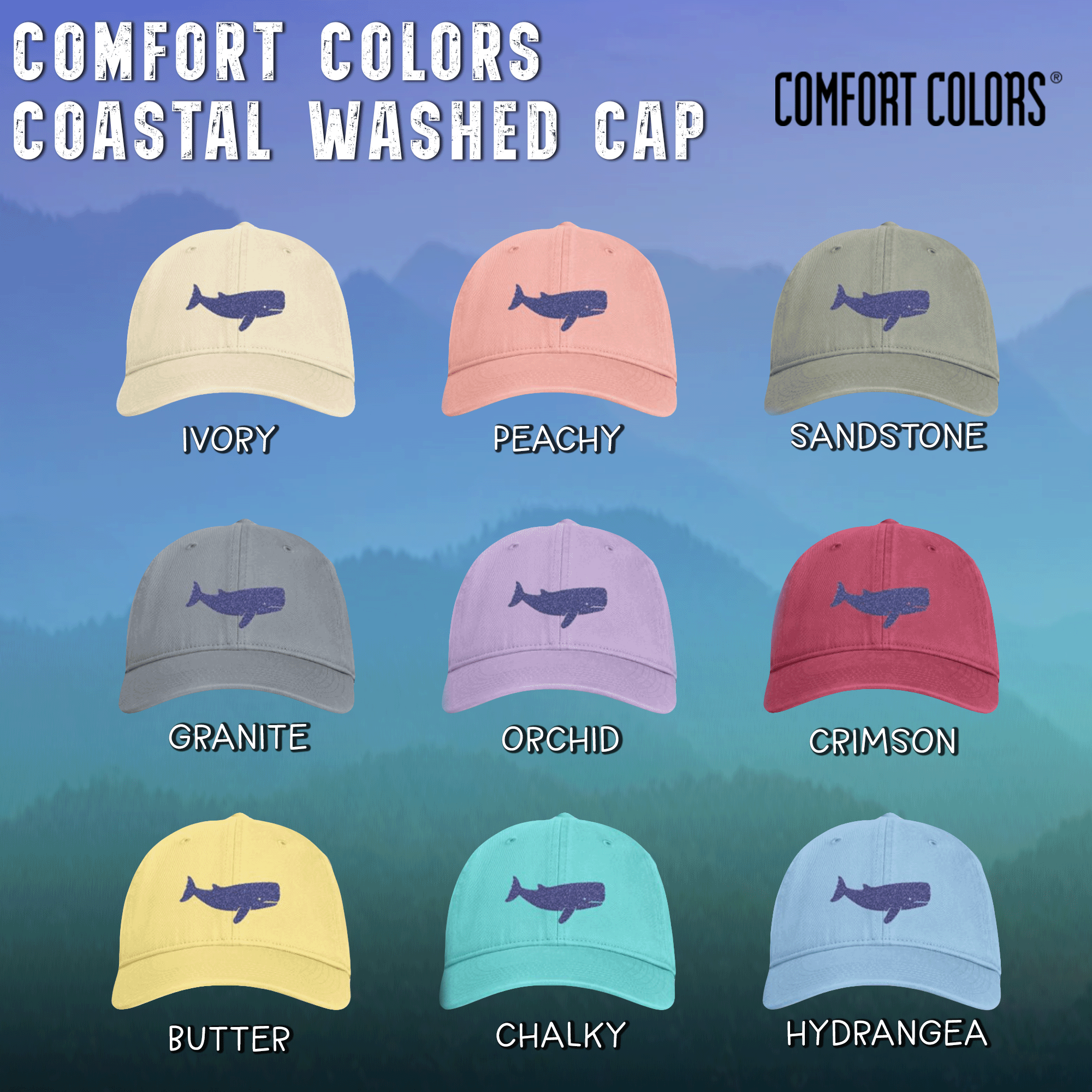 Blue Whale Coastal Washed Cap