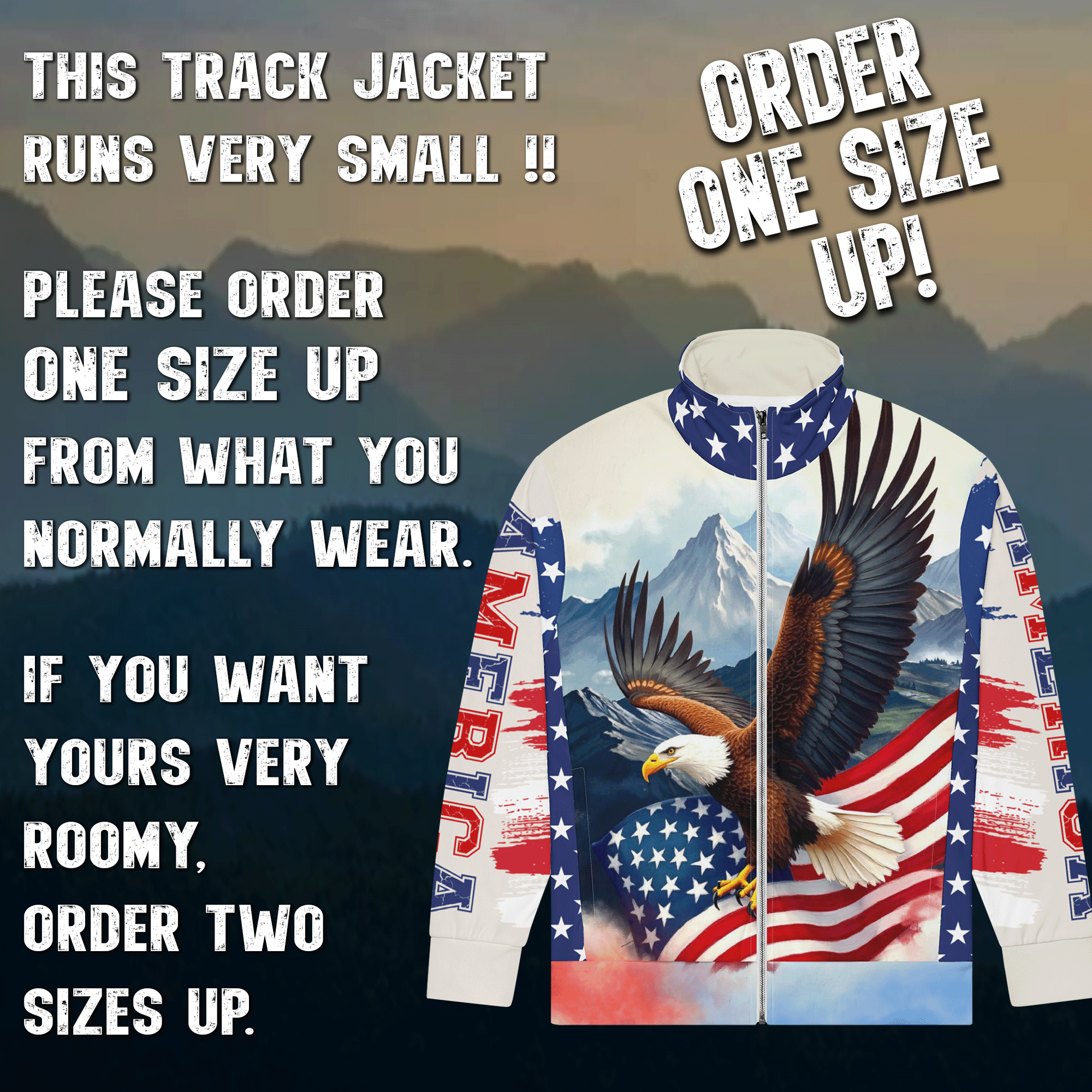American Eagle Track Jacket 14.png