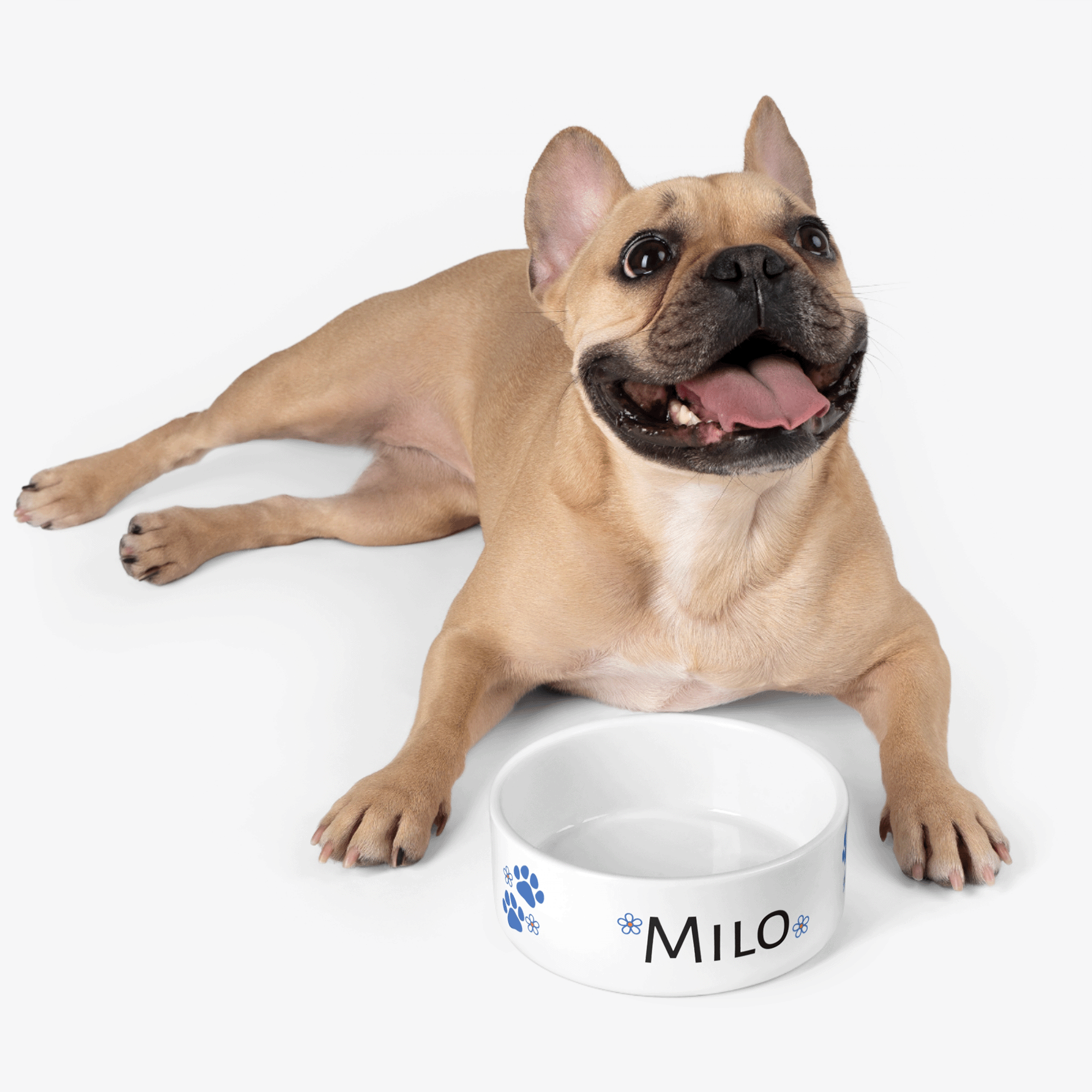 Personalized Ceramic Pet Bowl Blue Paw Prints