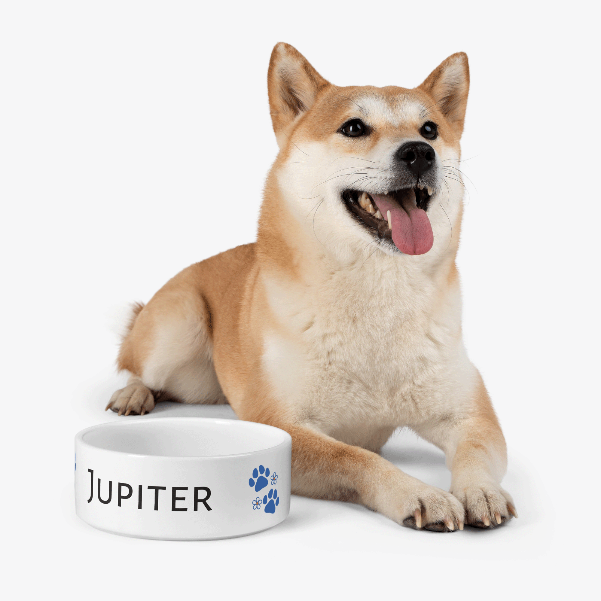 Personalized Ceramic Pet Bowl Blue Paw Prints
