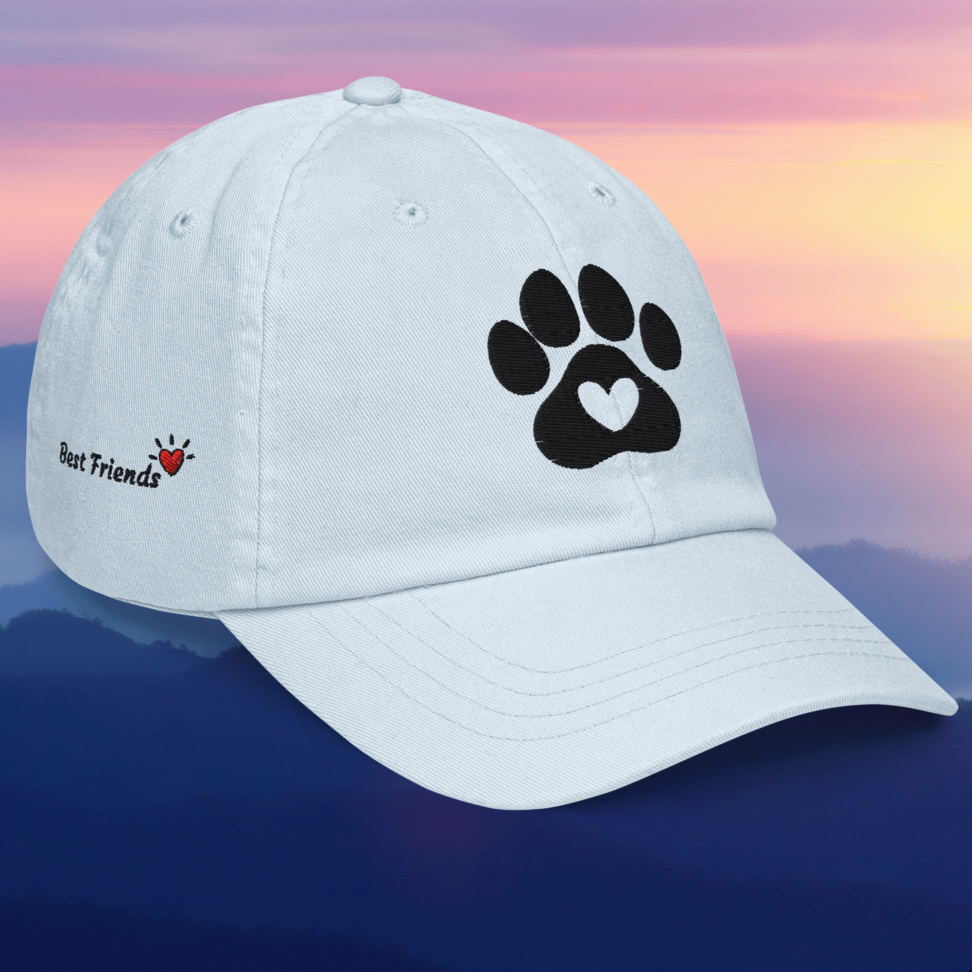 Dog Paw Best Friends Pastel Hat