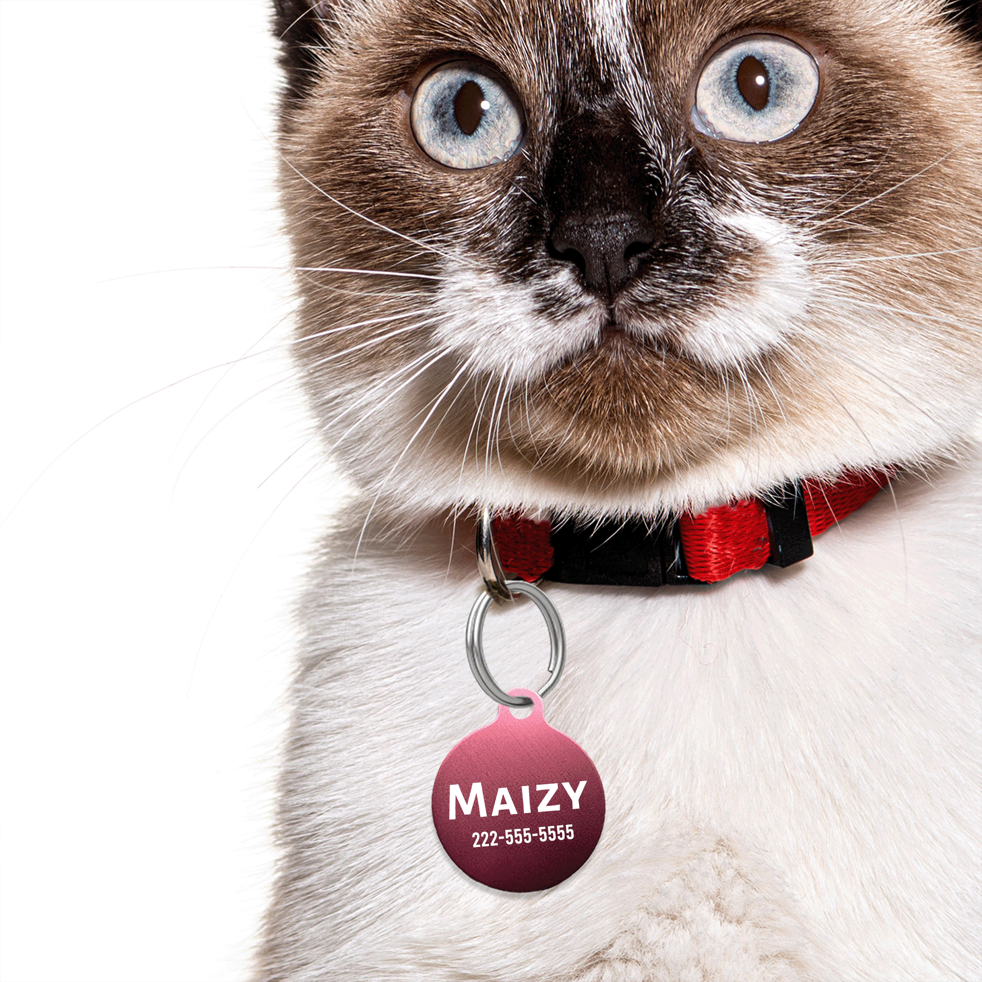 Engraved Pet Tag — Custom Name & Phone ID