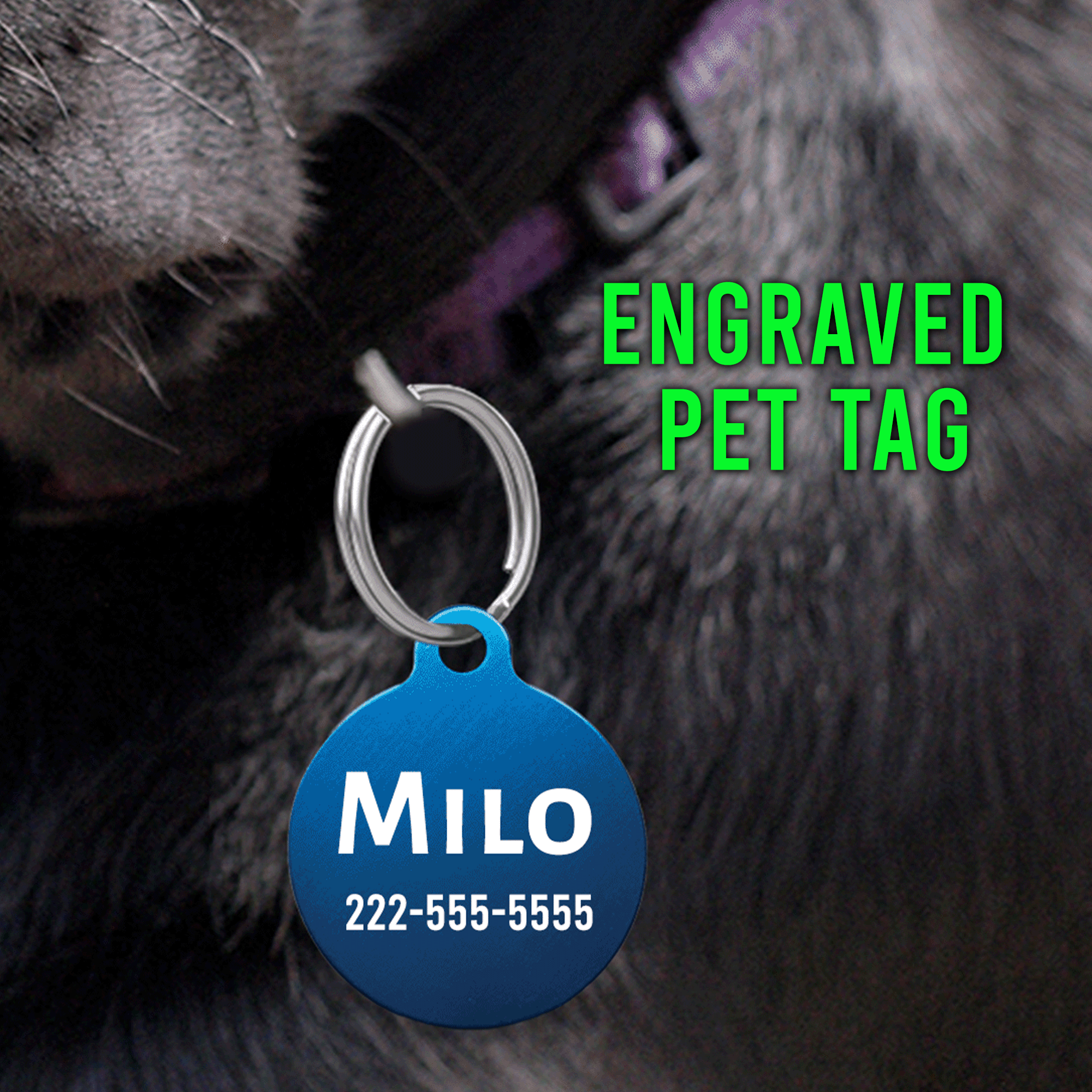 Engraved Pet Tag — Custom Name & Phone ID