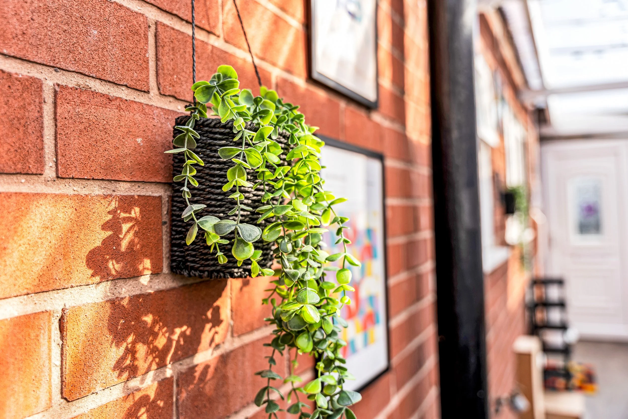 A hanging potted plant with green leaves on a brick wall interior, with sunlight casting shadows, and framed artwork in the background.