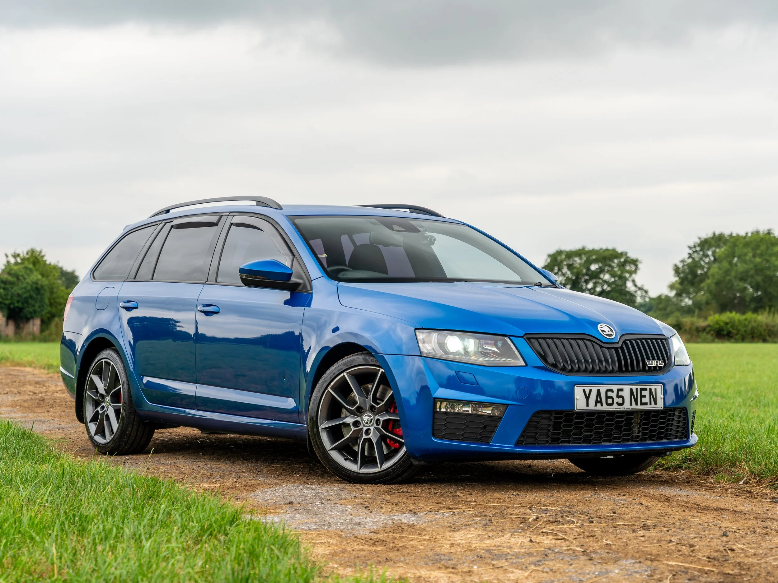 A blue hatchback car parked on a dirt path in a grassy field with trees in the background and cloudy sky overhead.