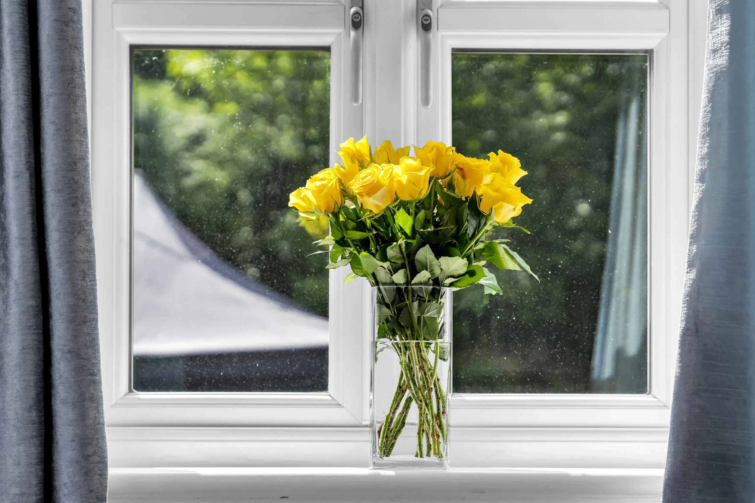 A clear glass vase of yellow roses placed on a white window sill with a window showing green trees outside, and grey curtains on either side.