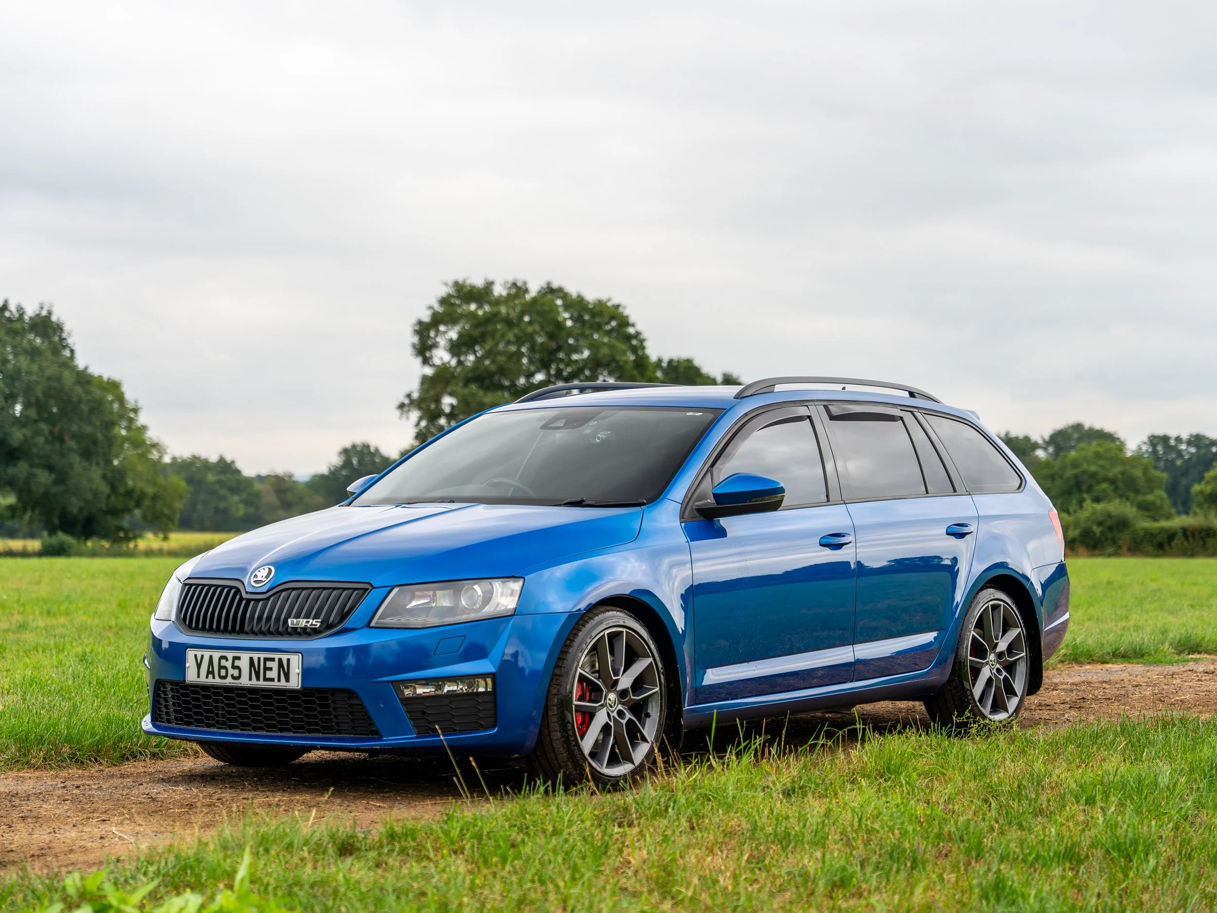 A blue Skoda Octavia vRS estate car parked on a grassy field with trees and an overcast sky in the background.