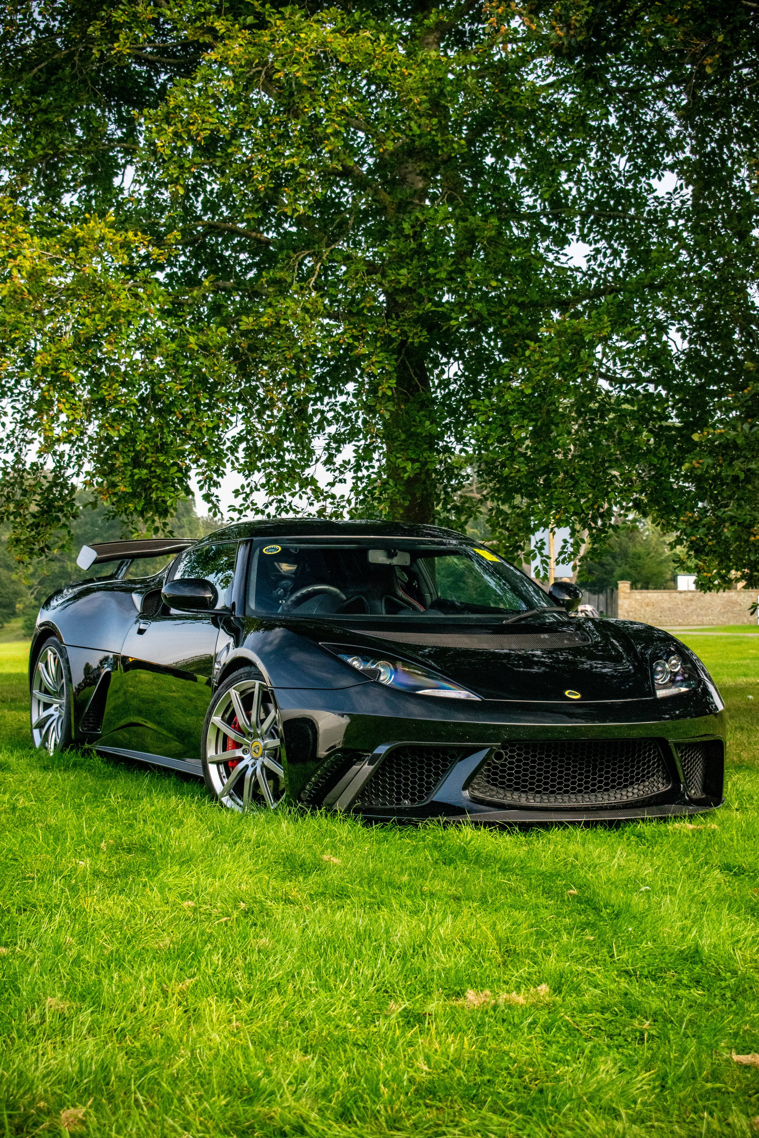 A black sports car parked on grass beneath a large leafy tree.